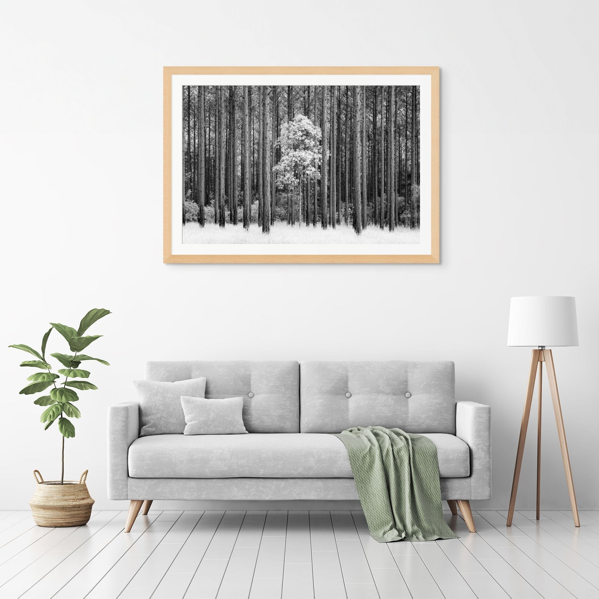 The Salty Pixel - IR Forest - metafield_custom.location - metafield_custom.subject