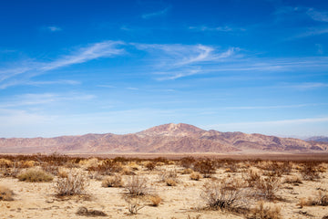 Desert Range - The Salty Pixel