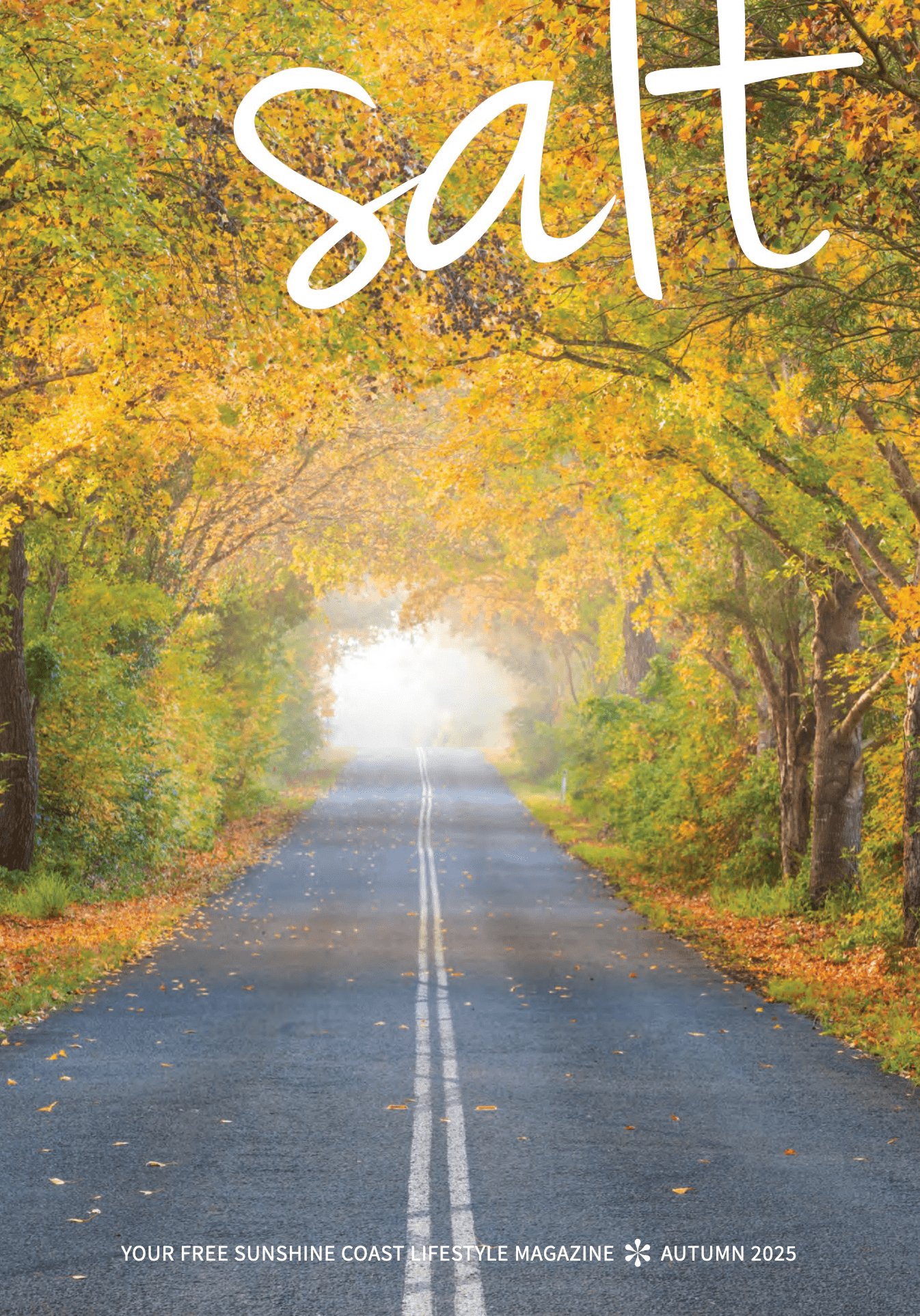 Cover Shot: Autumn Road Near Kenilworth