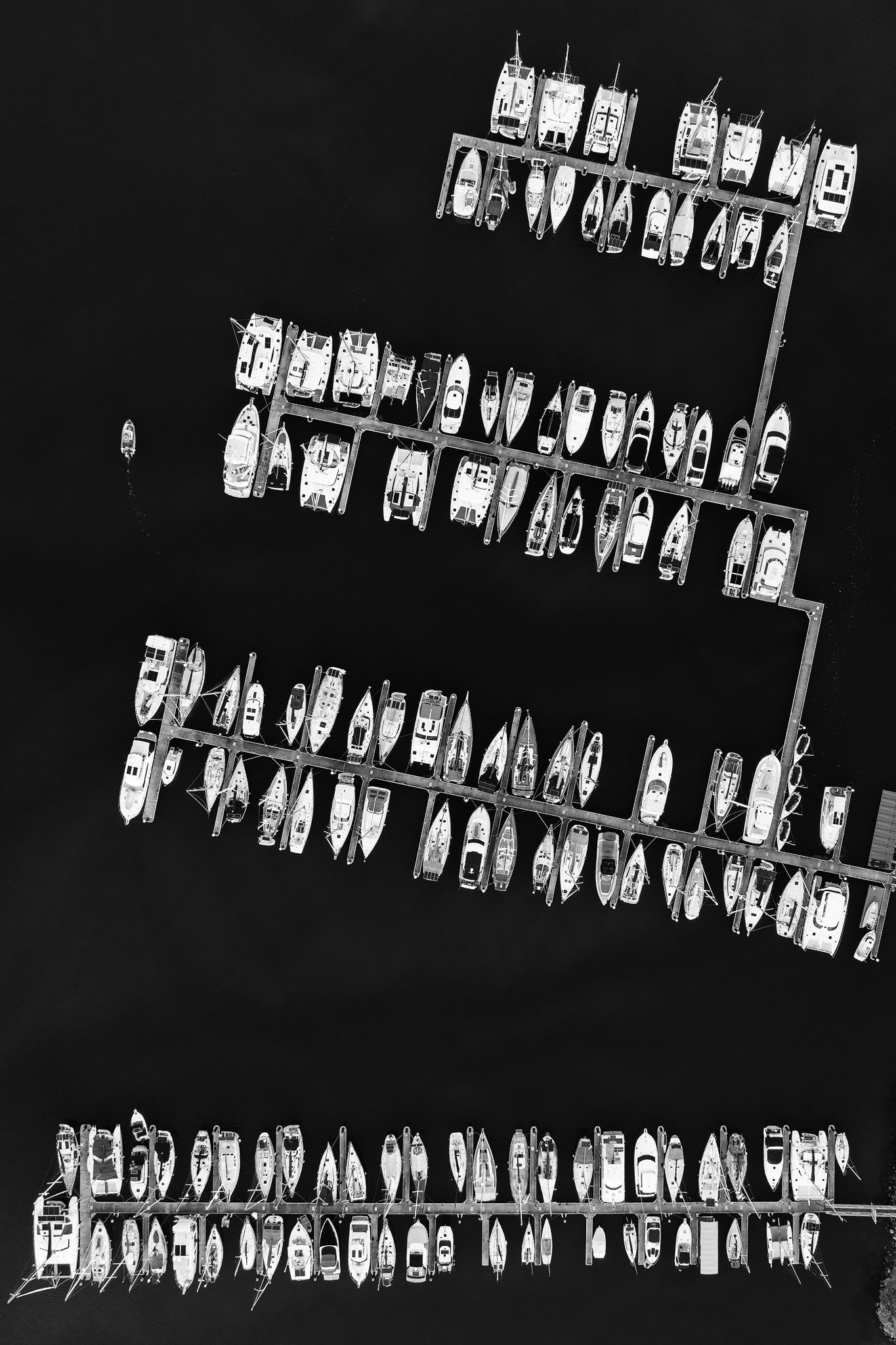 Collection Image