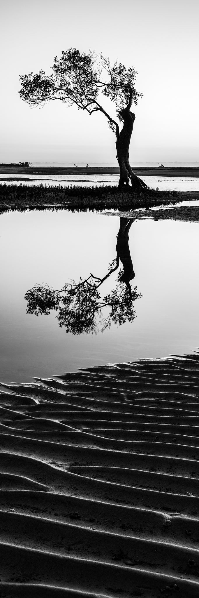 The Salty Pixel - Black Tree Ripples - metafield_custom.location - metafield_custom.subject