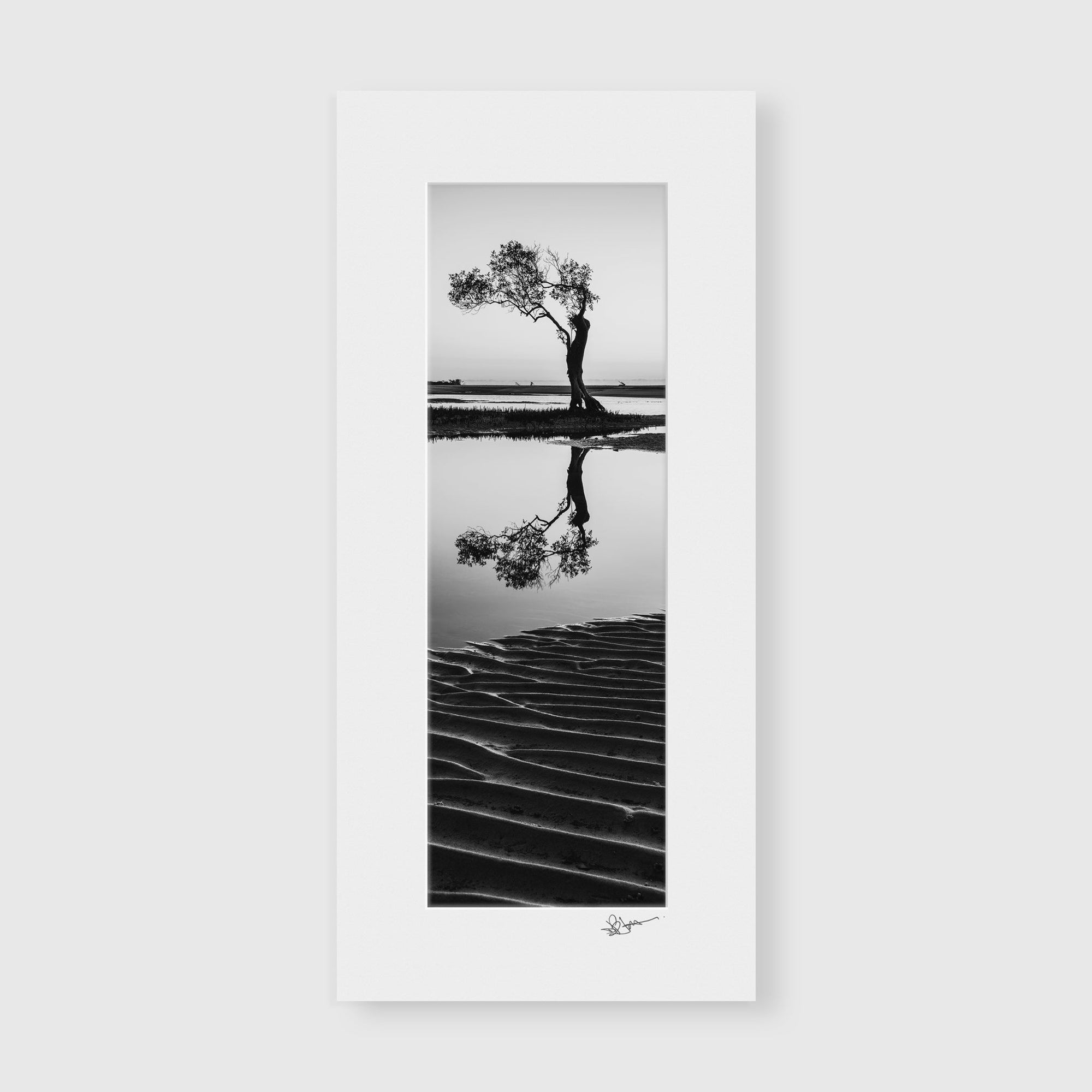 The Salty Pixel - Black Tree Ripples - metafield_custom.location - metafield_custom.subject