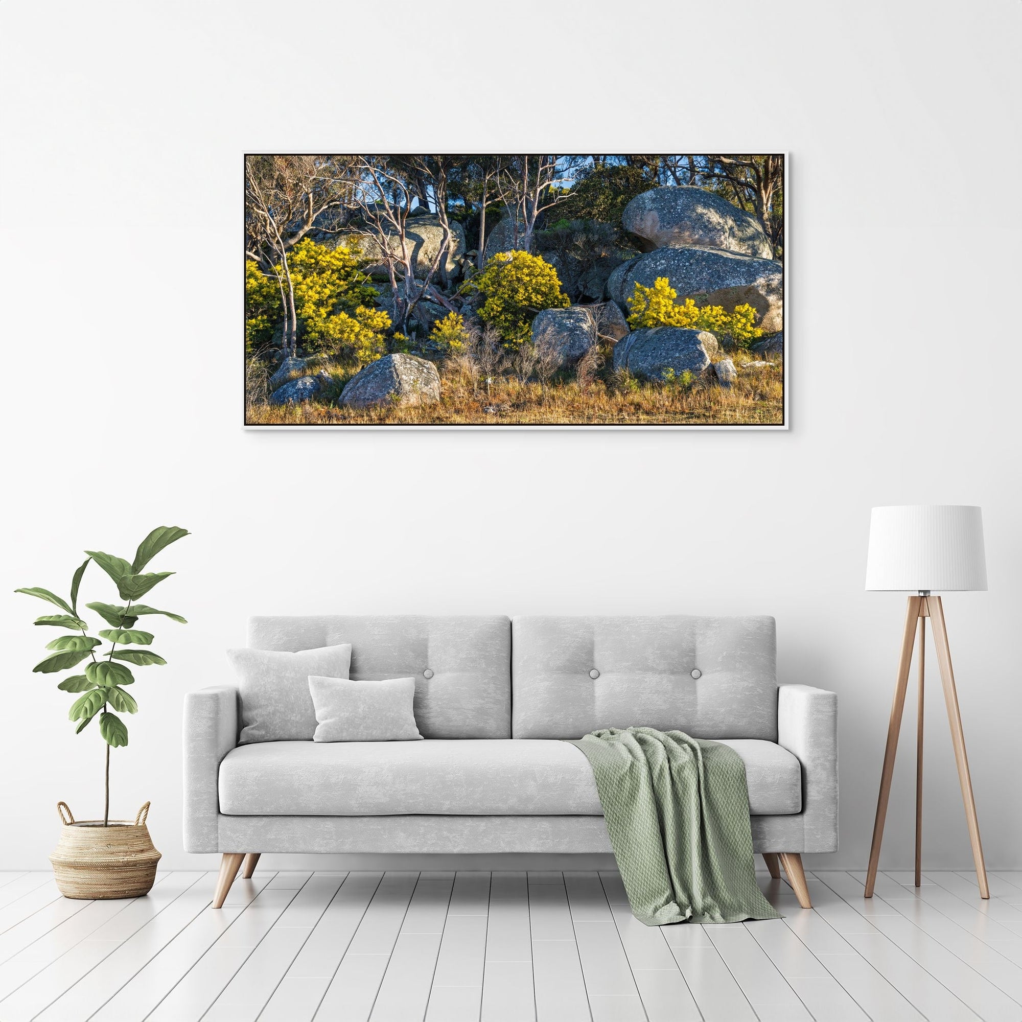 Boulder Bloom - The Salty Pixel