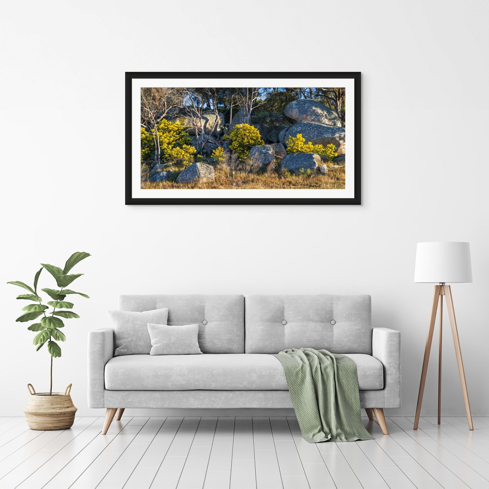 Boulder Bloom - The Salty Pixel