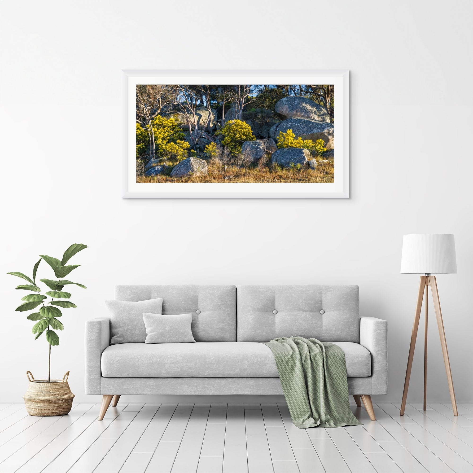 Boulder Bloom - The Salty Pixel