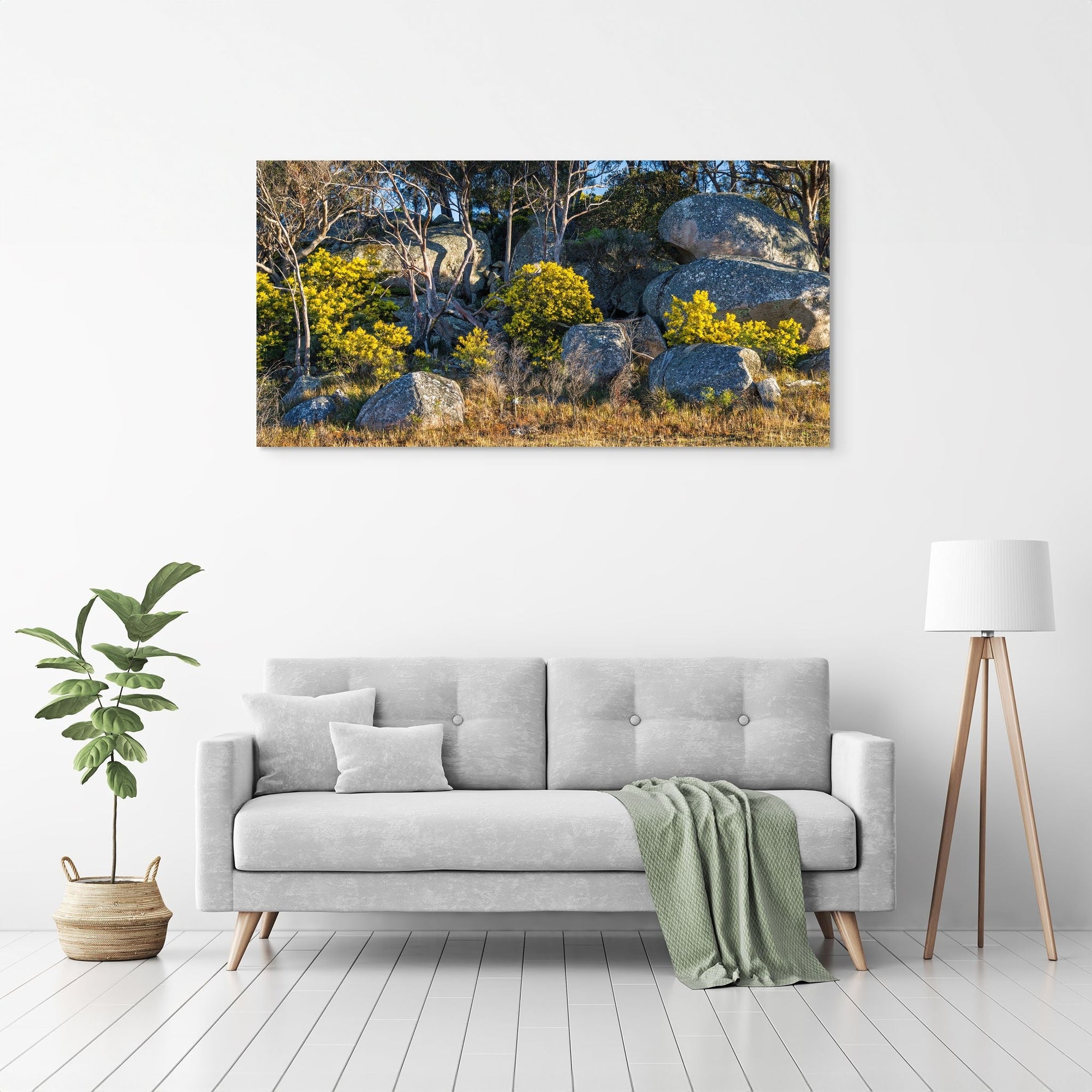 Boulder Bloom - The Salty Pixel