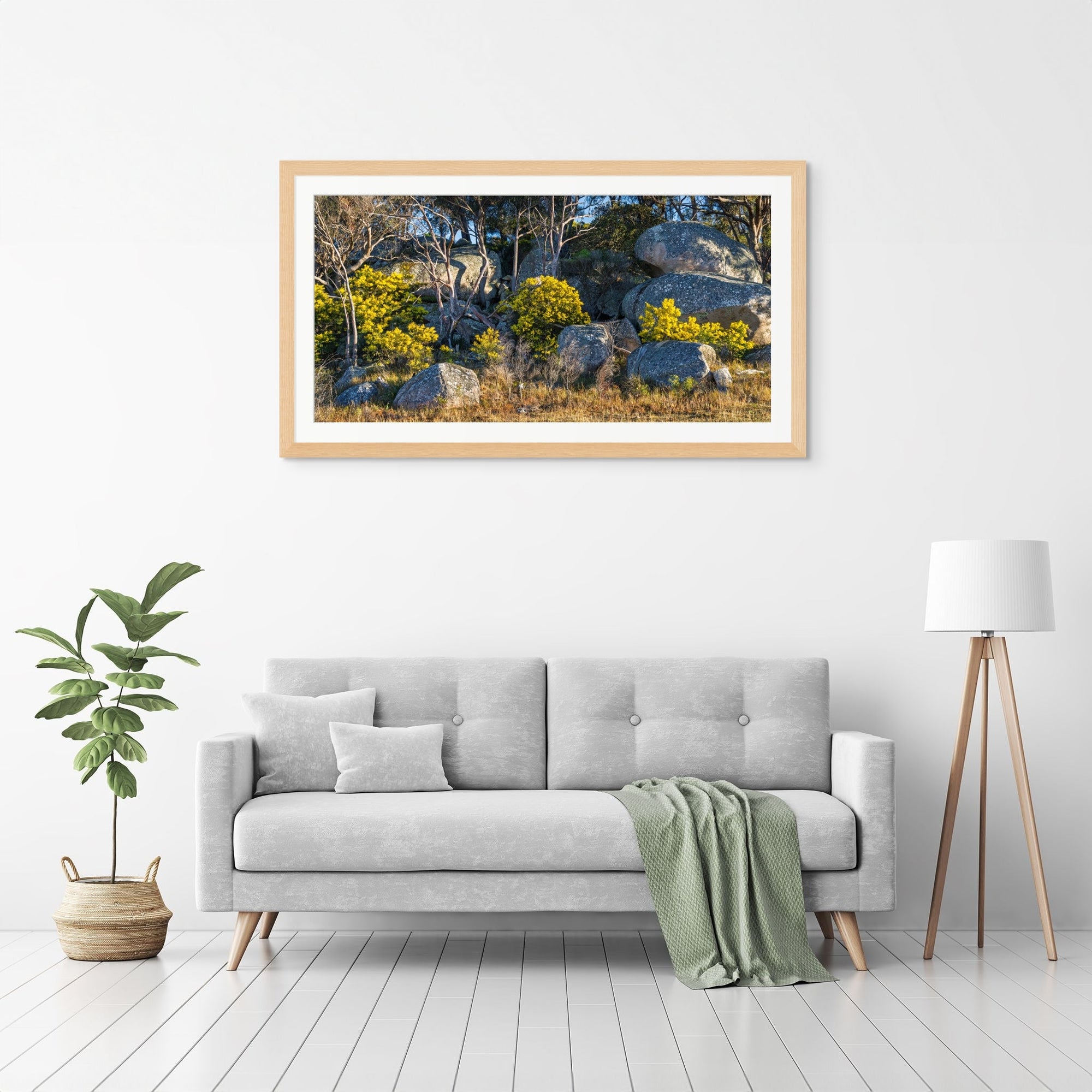 Boulder Bloom - The Salty Pixel