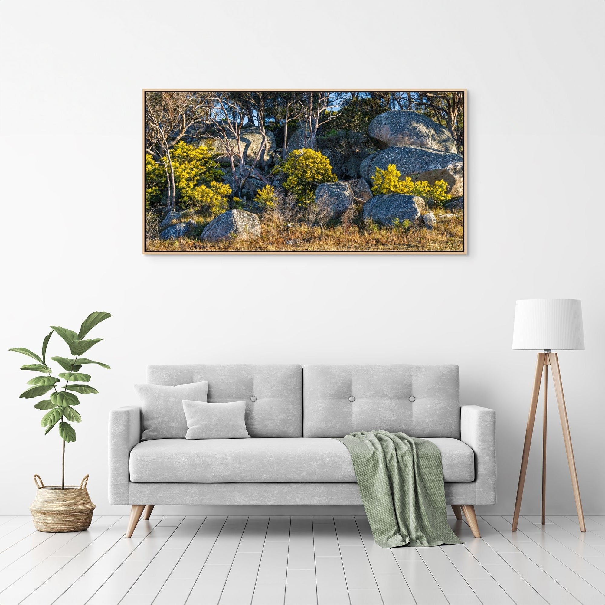 Boulder Bloom - The Salty Pixel