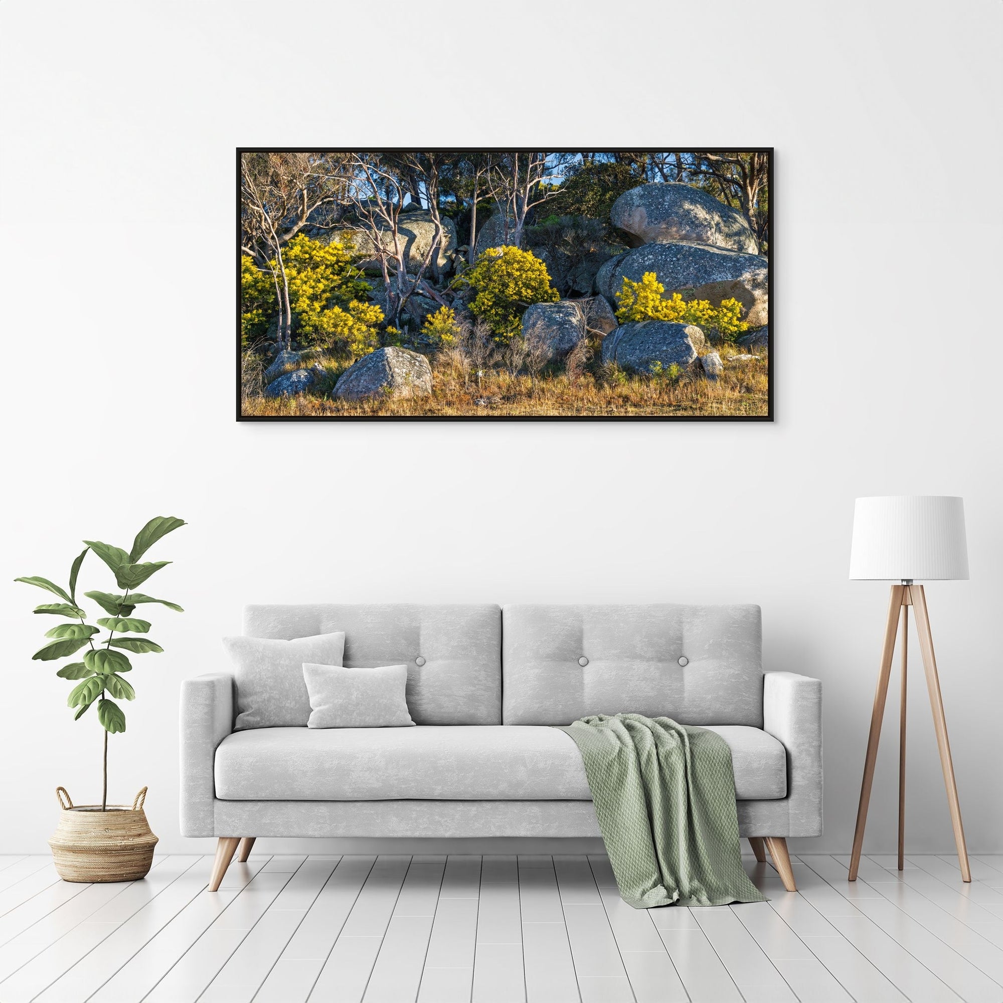 Boulder Bloom - The Salty Pixel