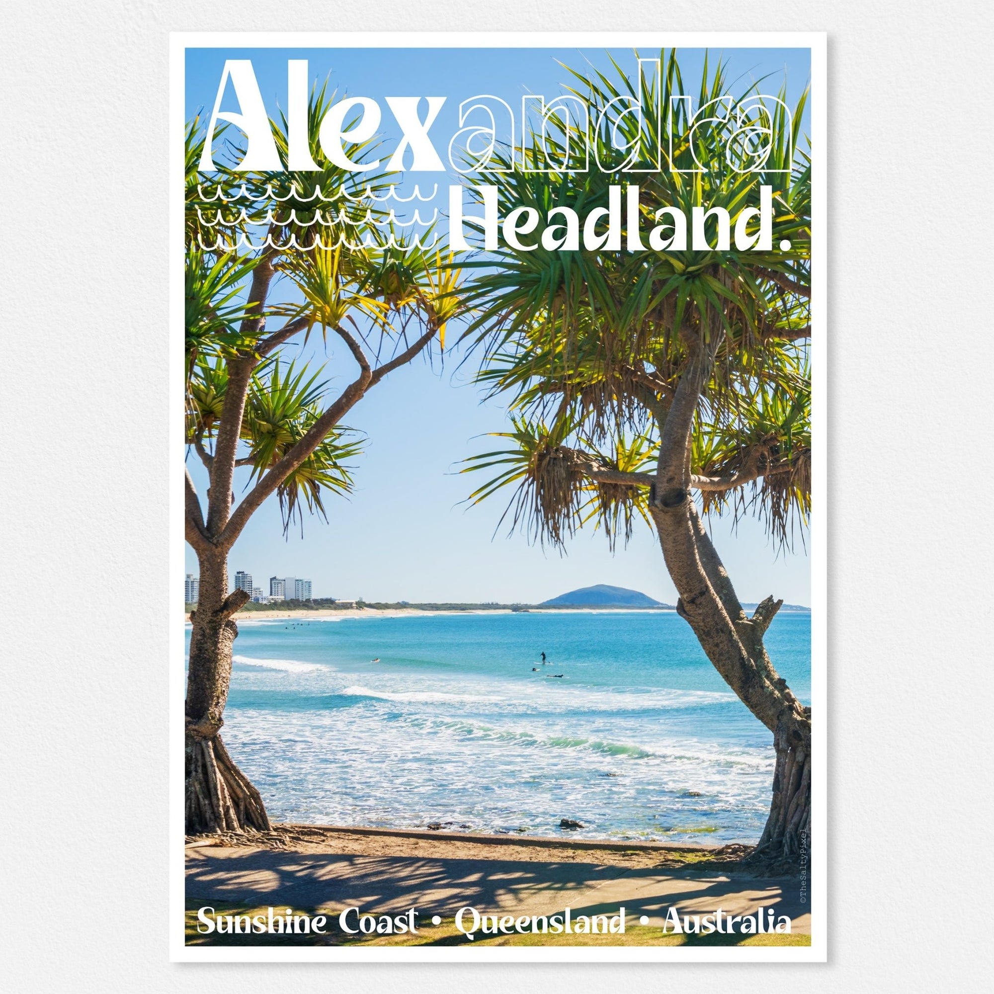 Design Series - Alex Pandanus - The Salty Pixel