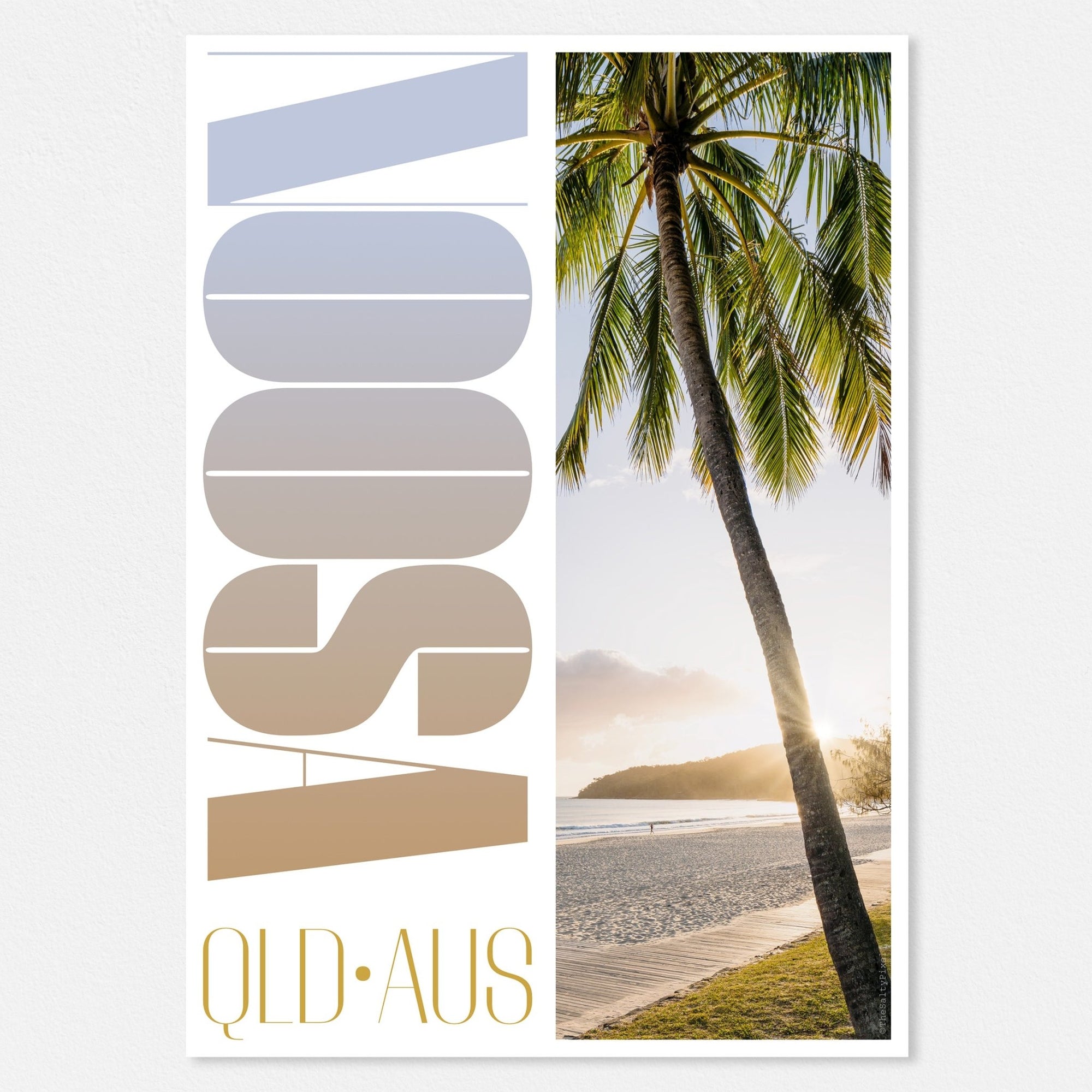Design Series - Noosa Palm - The Salty Pixel