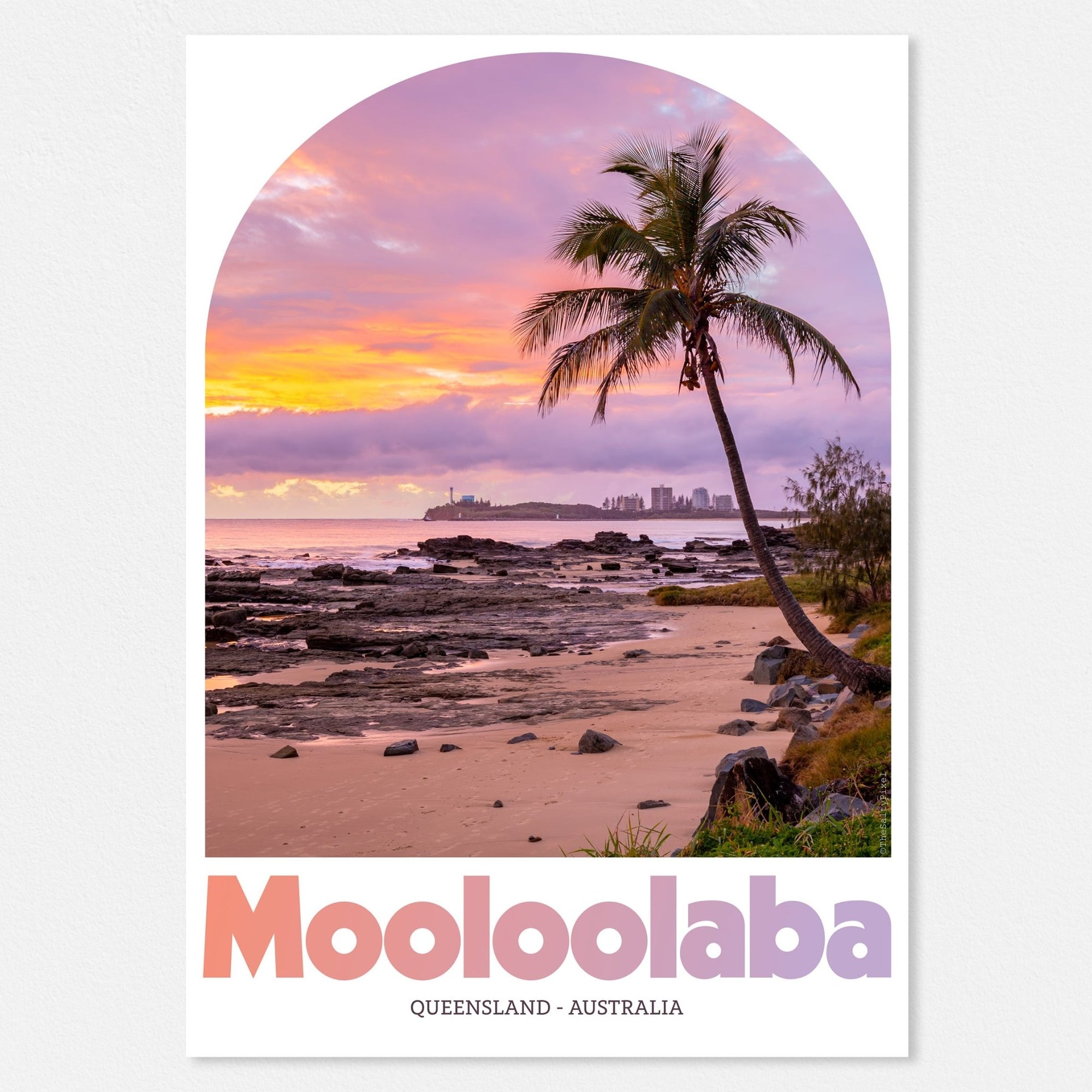 Design Series - Pink Palm - The Salty Pixel