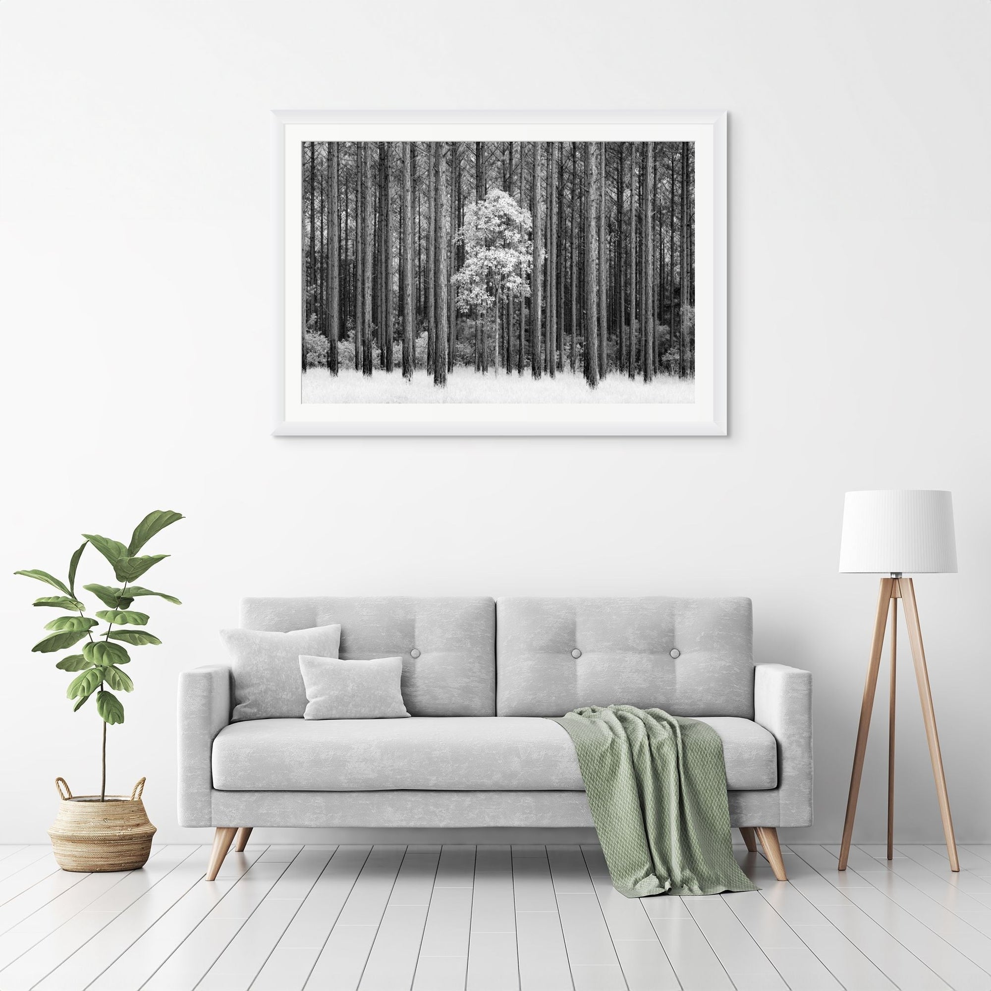 The Salty Pixel - IR Forest - metafield_custom.location - metafield_custom.subject