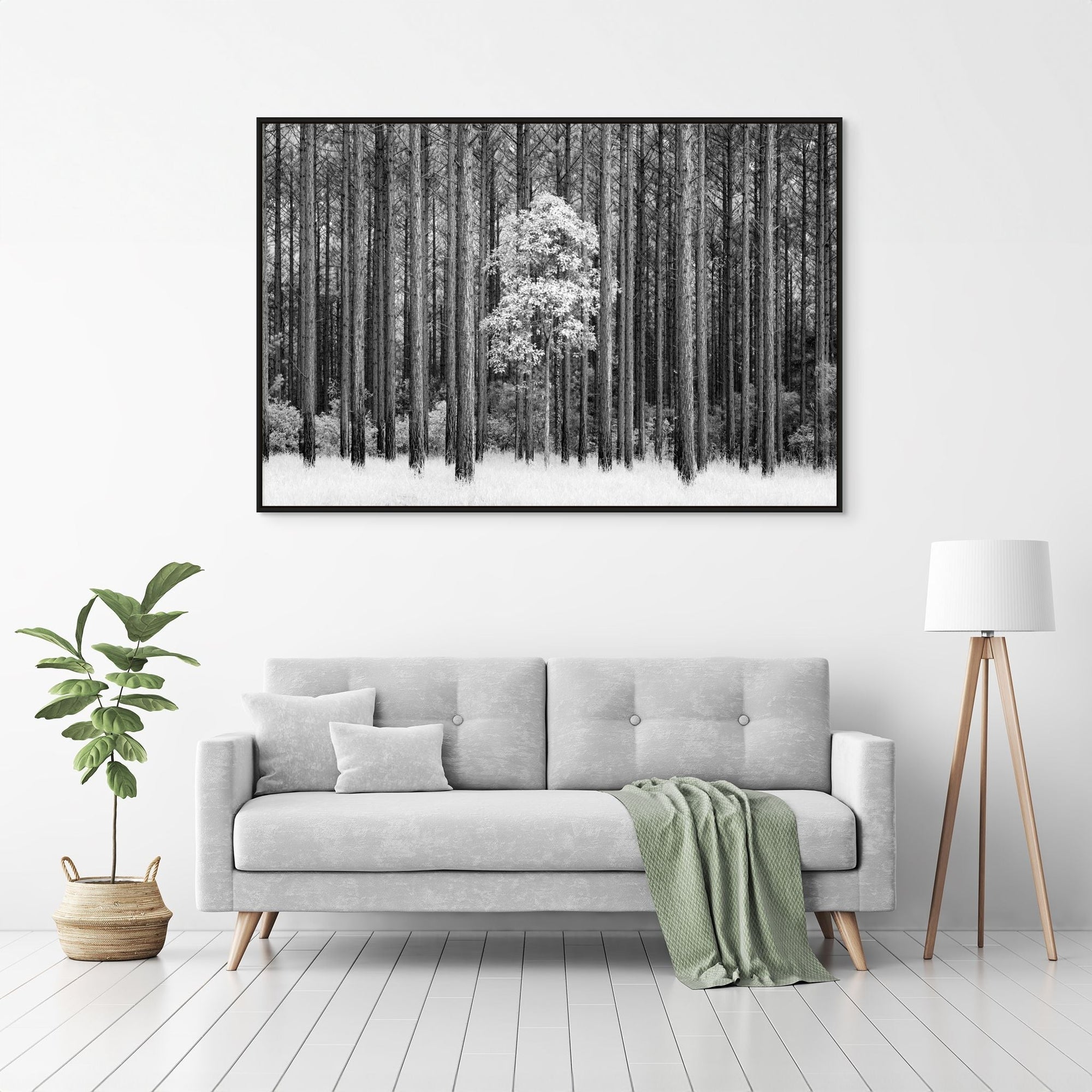The Salty Pixel - IR Forest - metafield_custom.location - metafield_custom.subject
