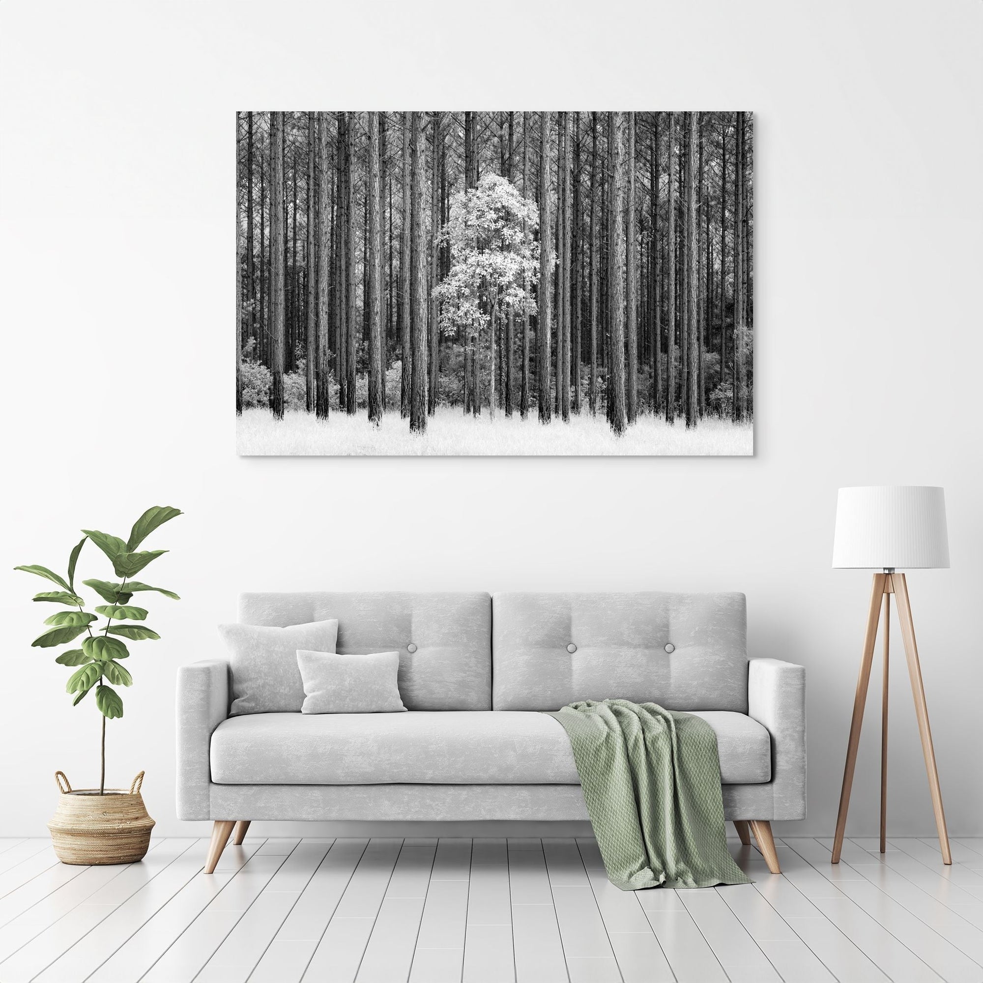 The Salty Pixel - IR Forest - metafield_custom.location - metafield_custom.subject