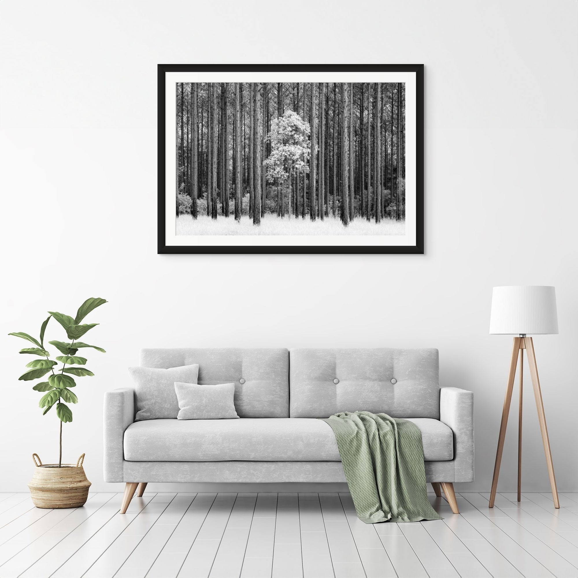 The Salty Pixel - IR Forest - metafield_custom.location - metafield_custom.subject