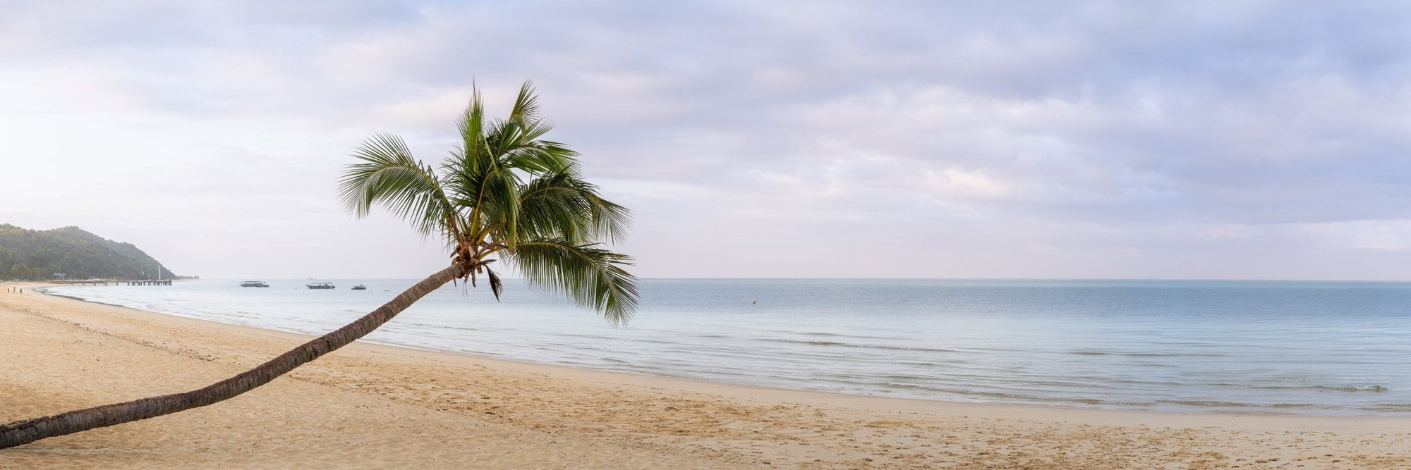 The Salty Pixel - Lazy Palm - metafield_custom.location - metafield_custom.subject