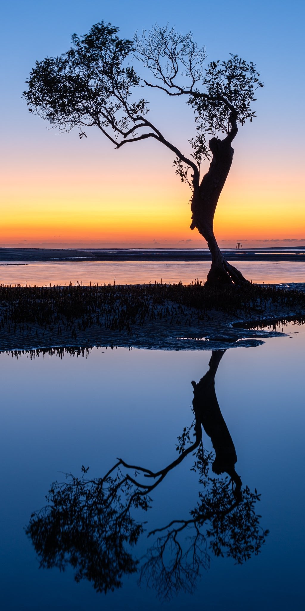 The Salty Pixel - Mangrove Gradient - metafield_custom.location - metafield_custom.subject