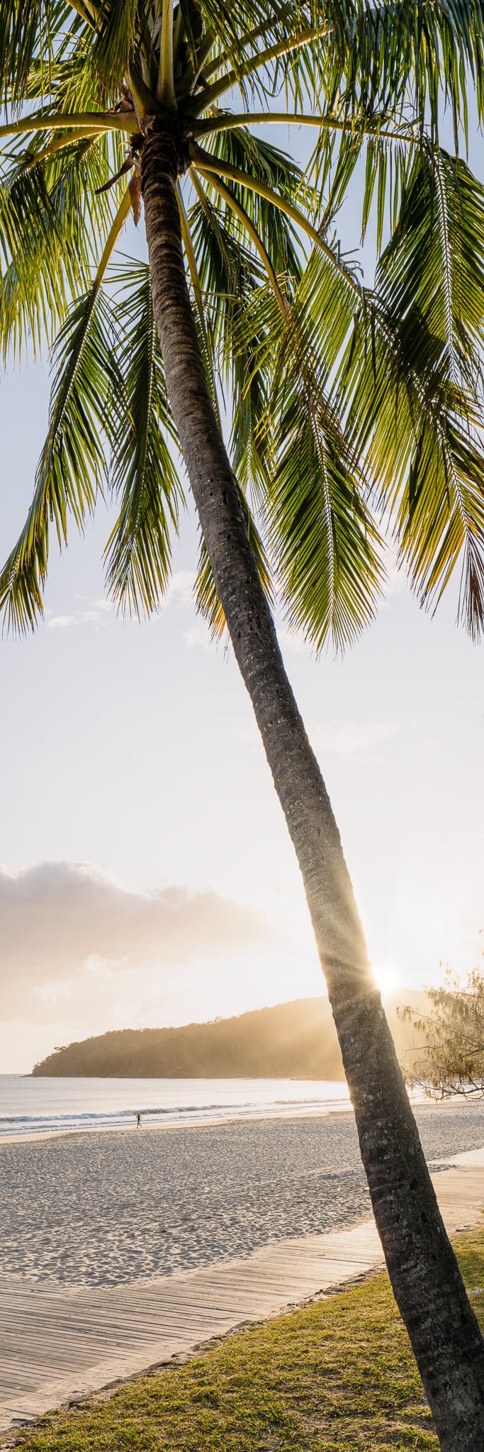 The Salty Pixel - Noosa Palm - metafield_custom.location - metafield_custom.subject