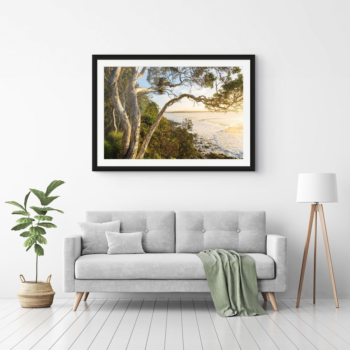 Paperbark Paradise