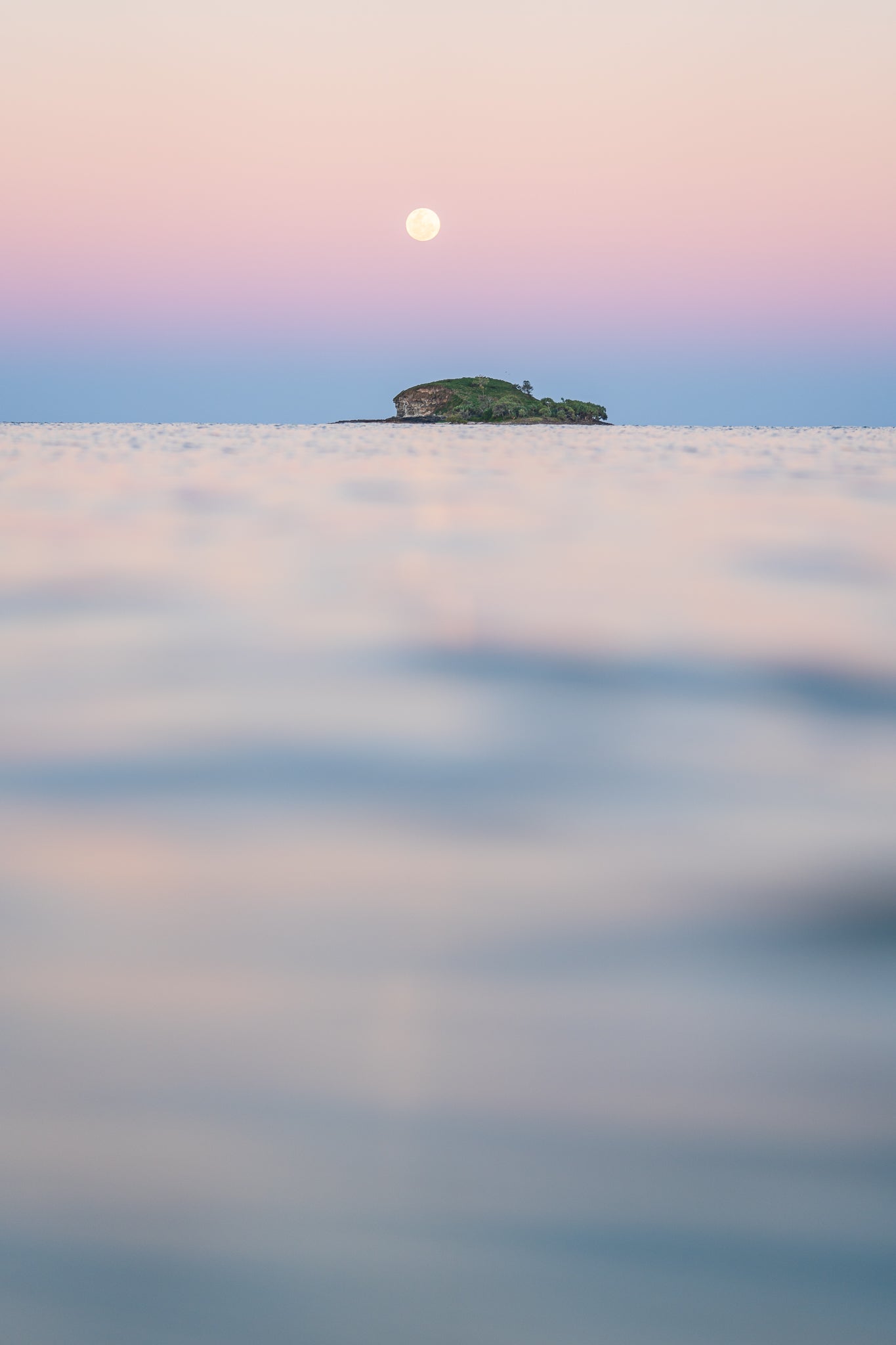 The Salty Pixel - Pink Moon - metafield_custom.location - metafield_custom.subject