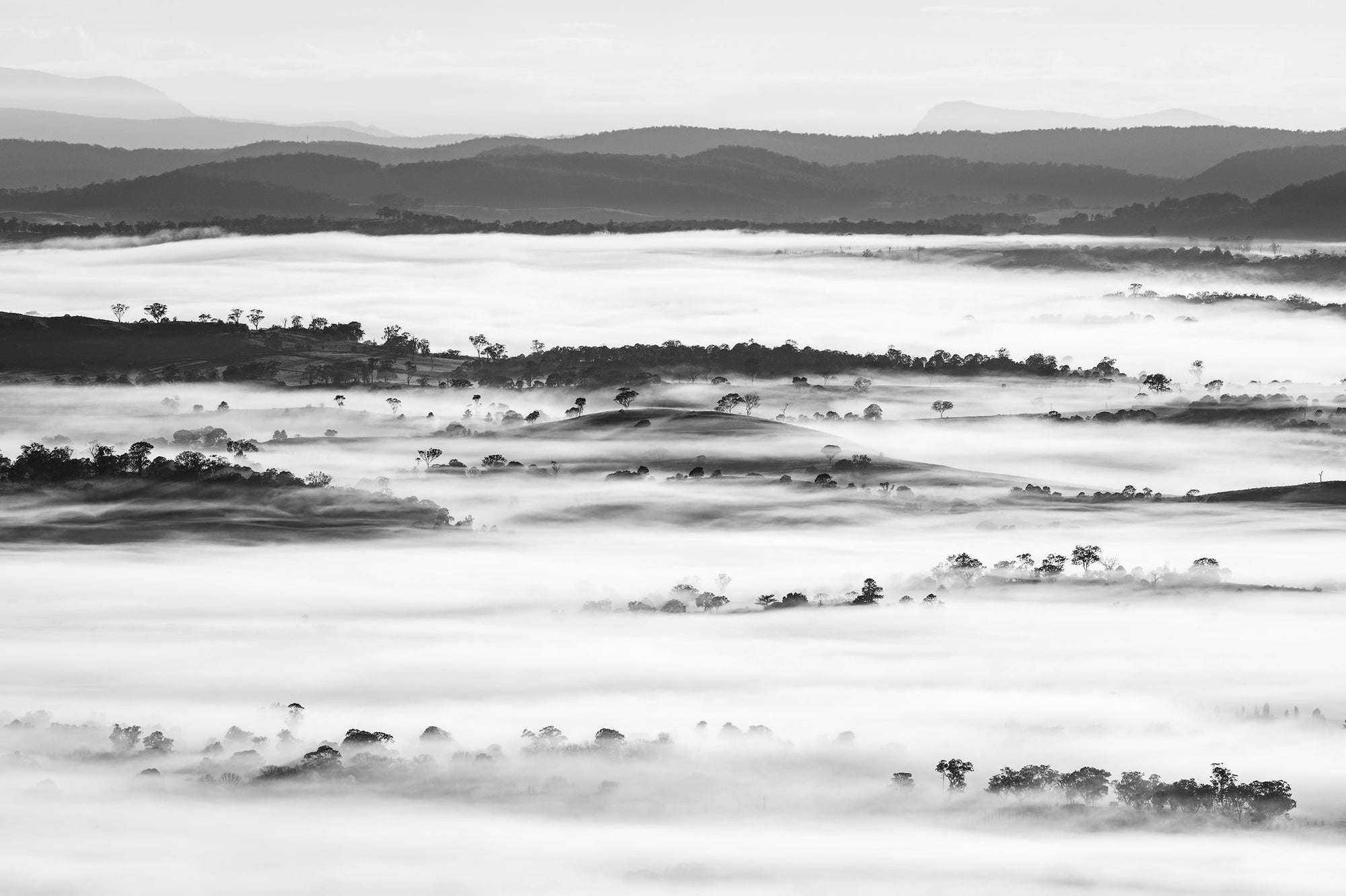Tenterfield Fog - The Salty Pixel
