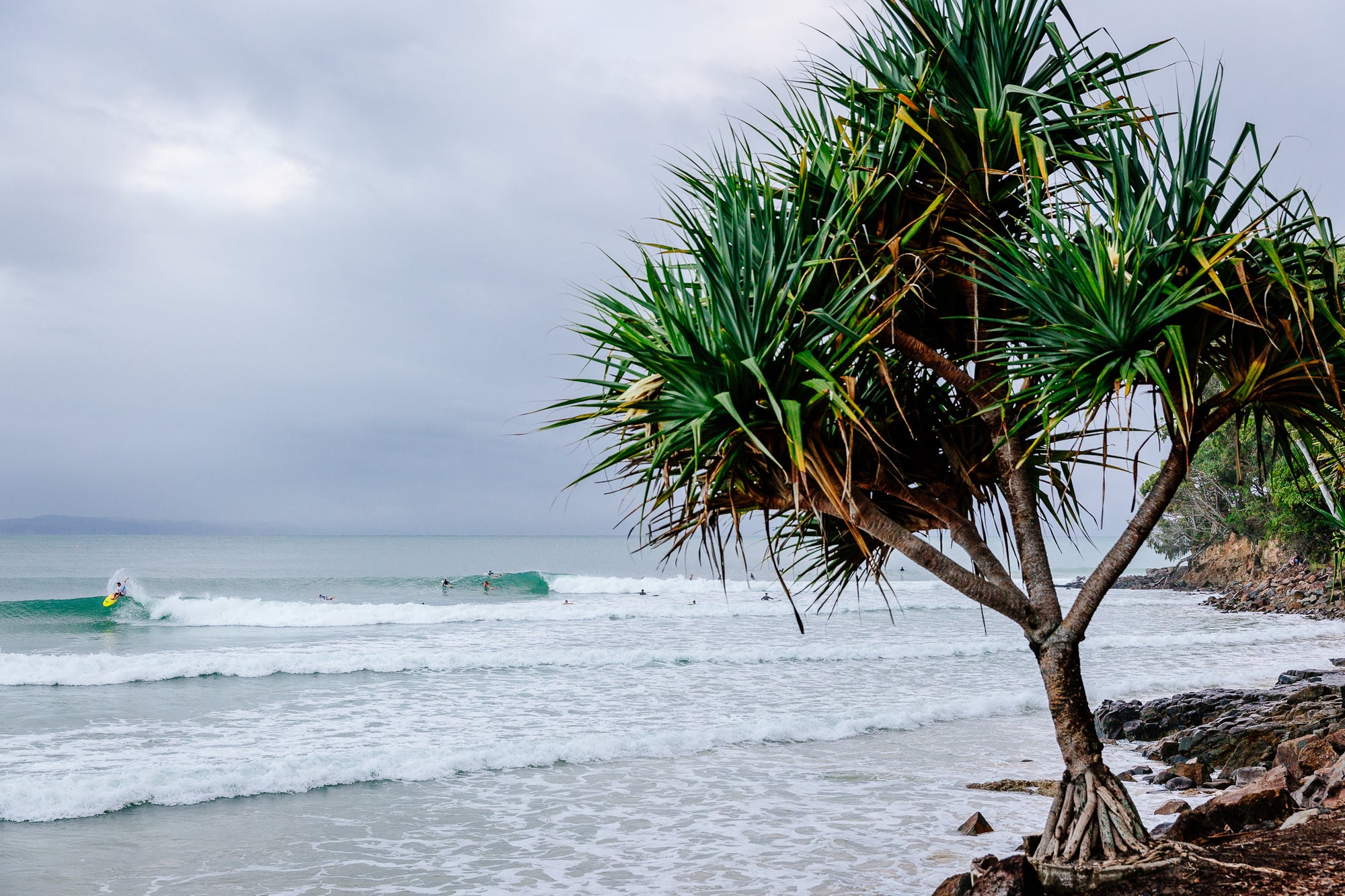 First Point Pandanus - The Salty Pixel