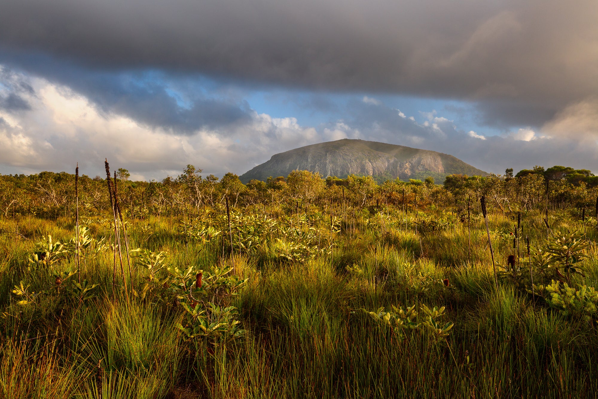 Mount Coolum Light - The Salty Pixel