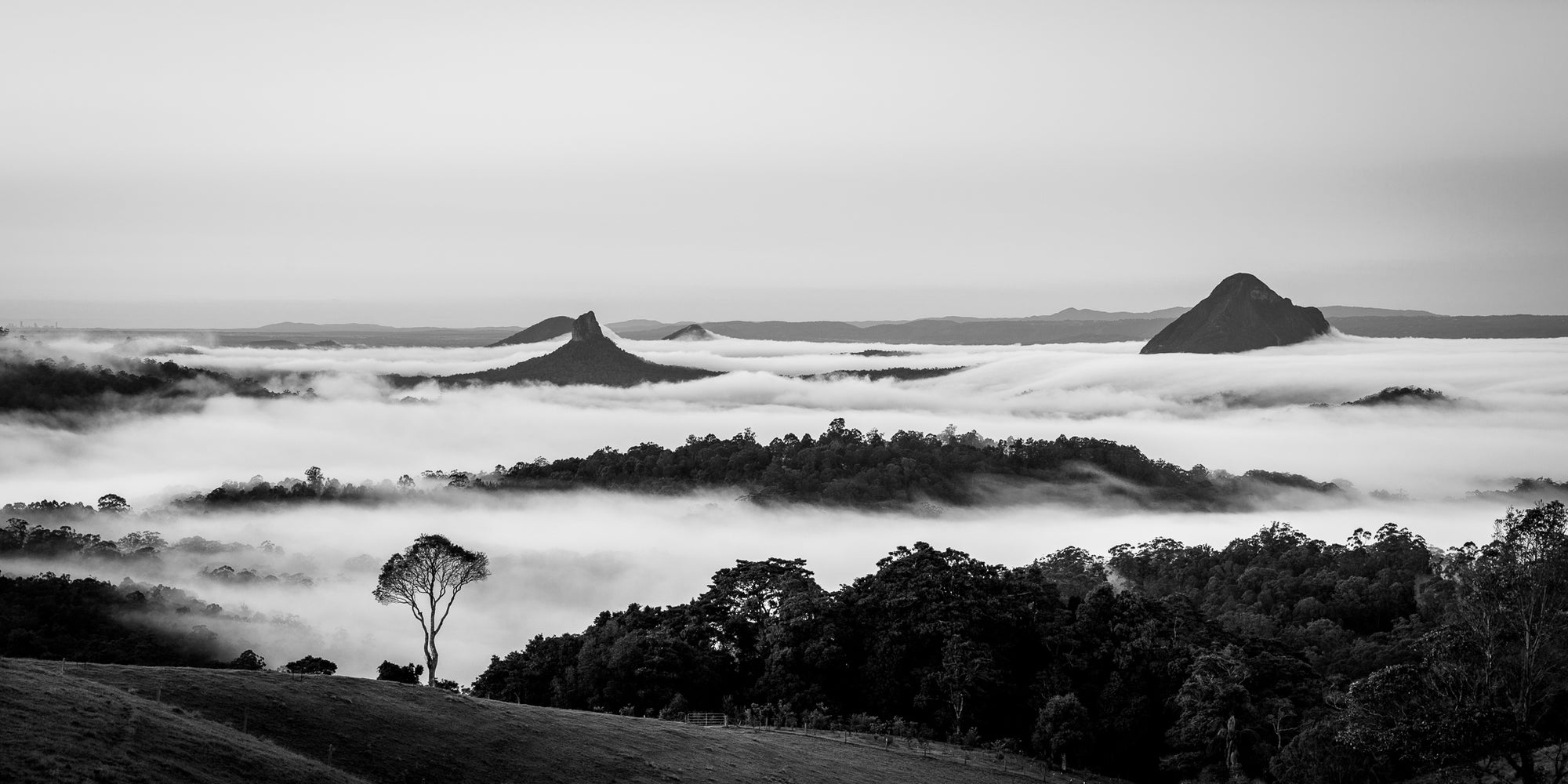 Mono Mountain Mist - The Salty Pixel