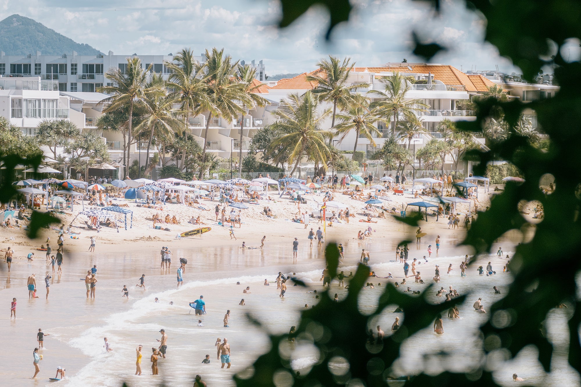 Noosa Beach Day