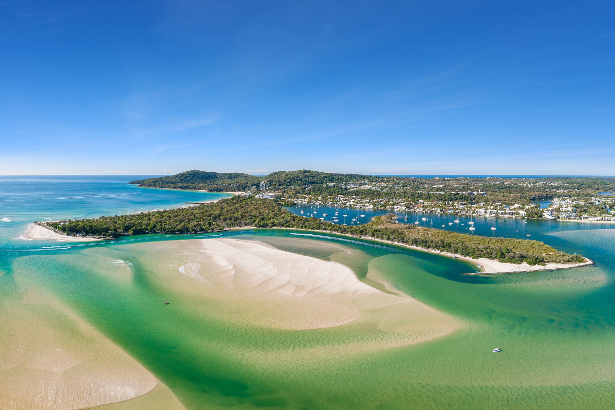 Noosa Blues - The Salty Pixel