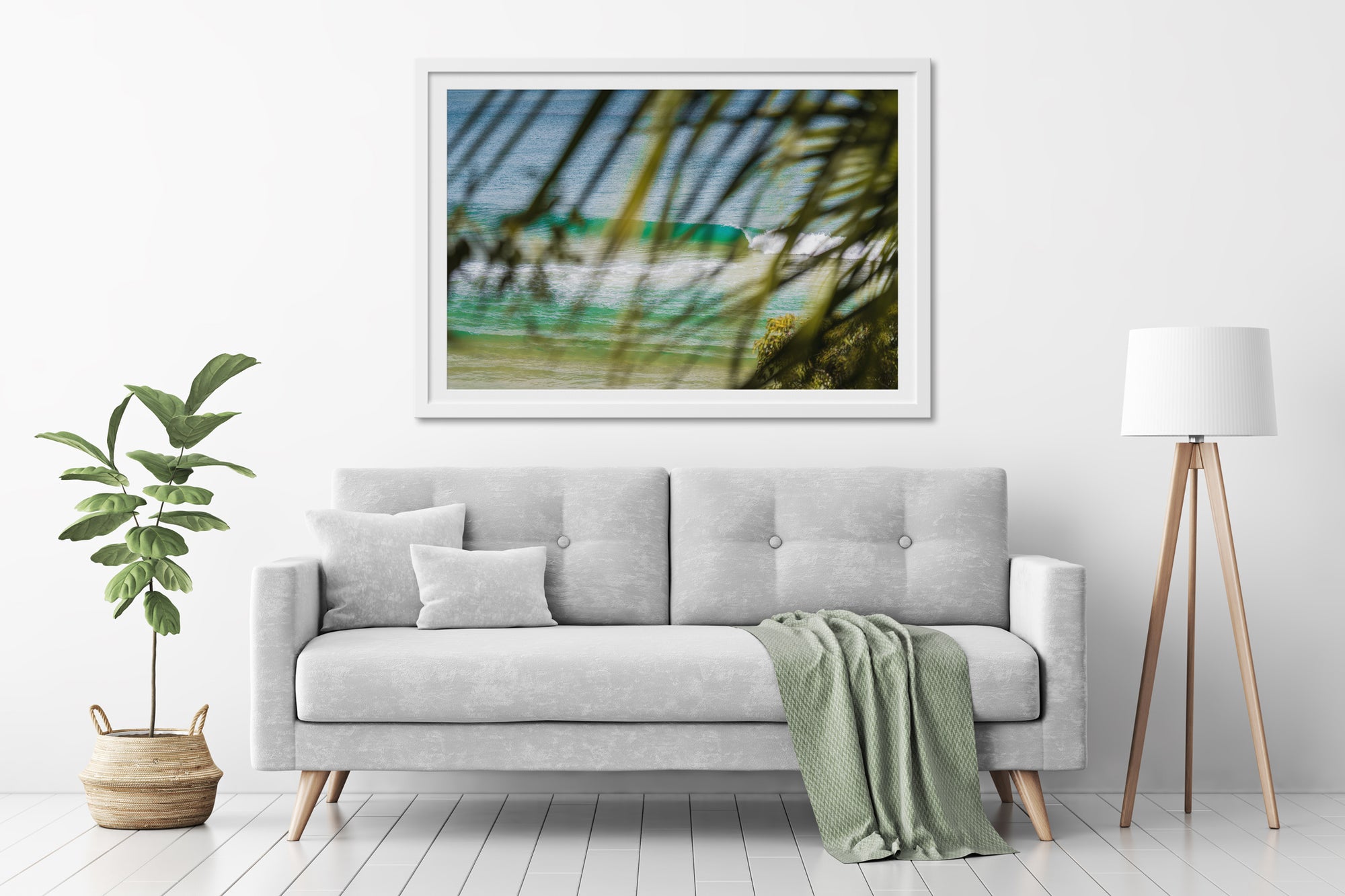 Peeling Through the Palms - The Salty Pixel