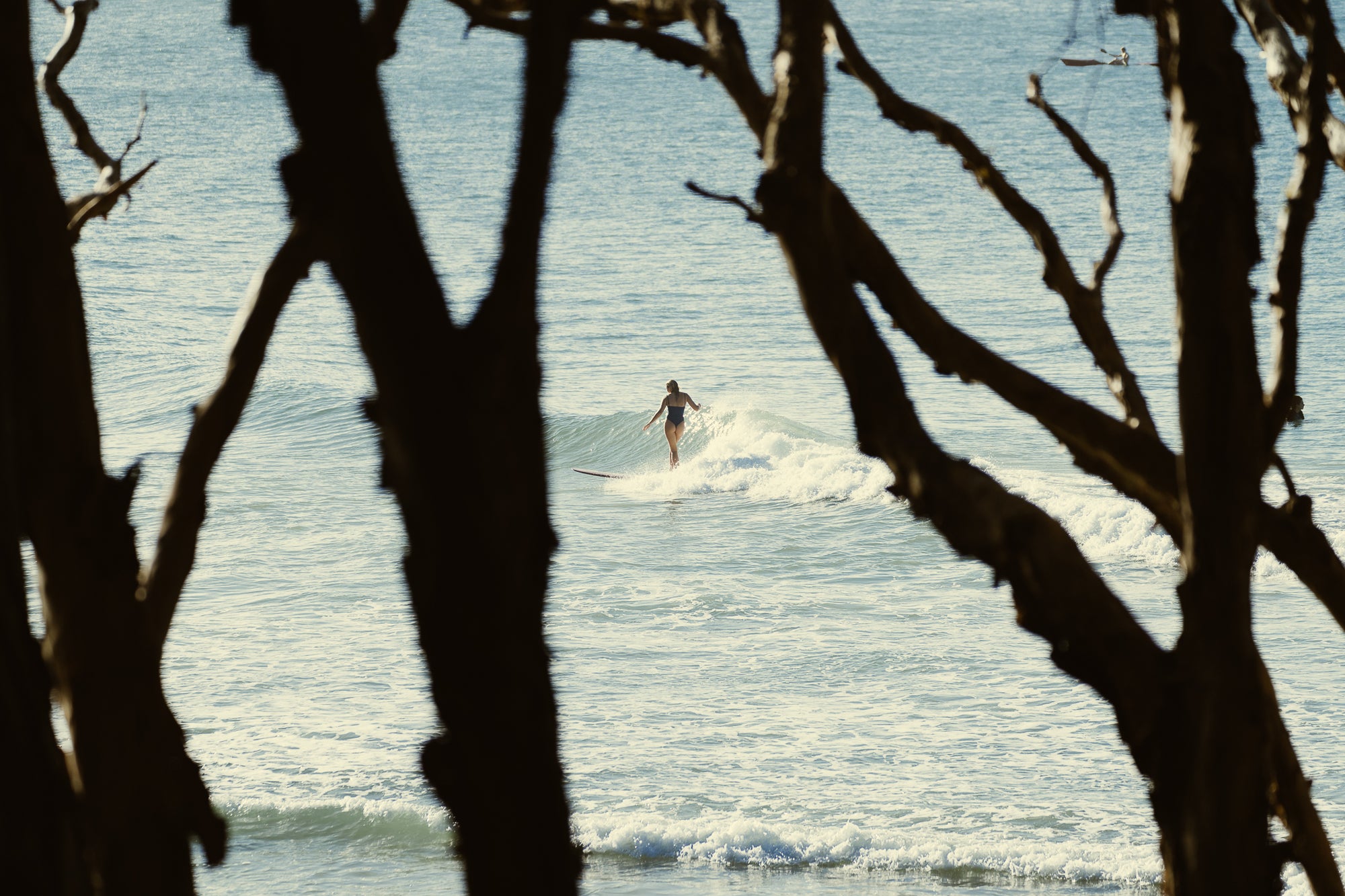 Tree Style - The Salty Pixel