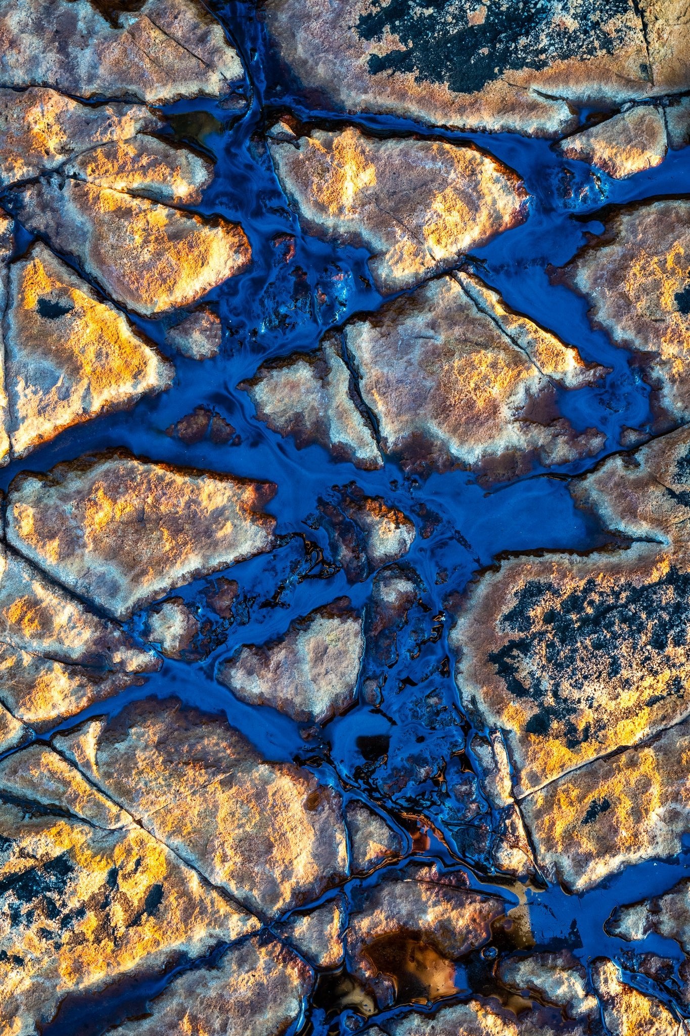 The Salty Pixel - Blue Lava - metafield_custom.location - metafield_custom.subject