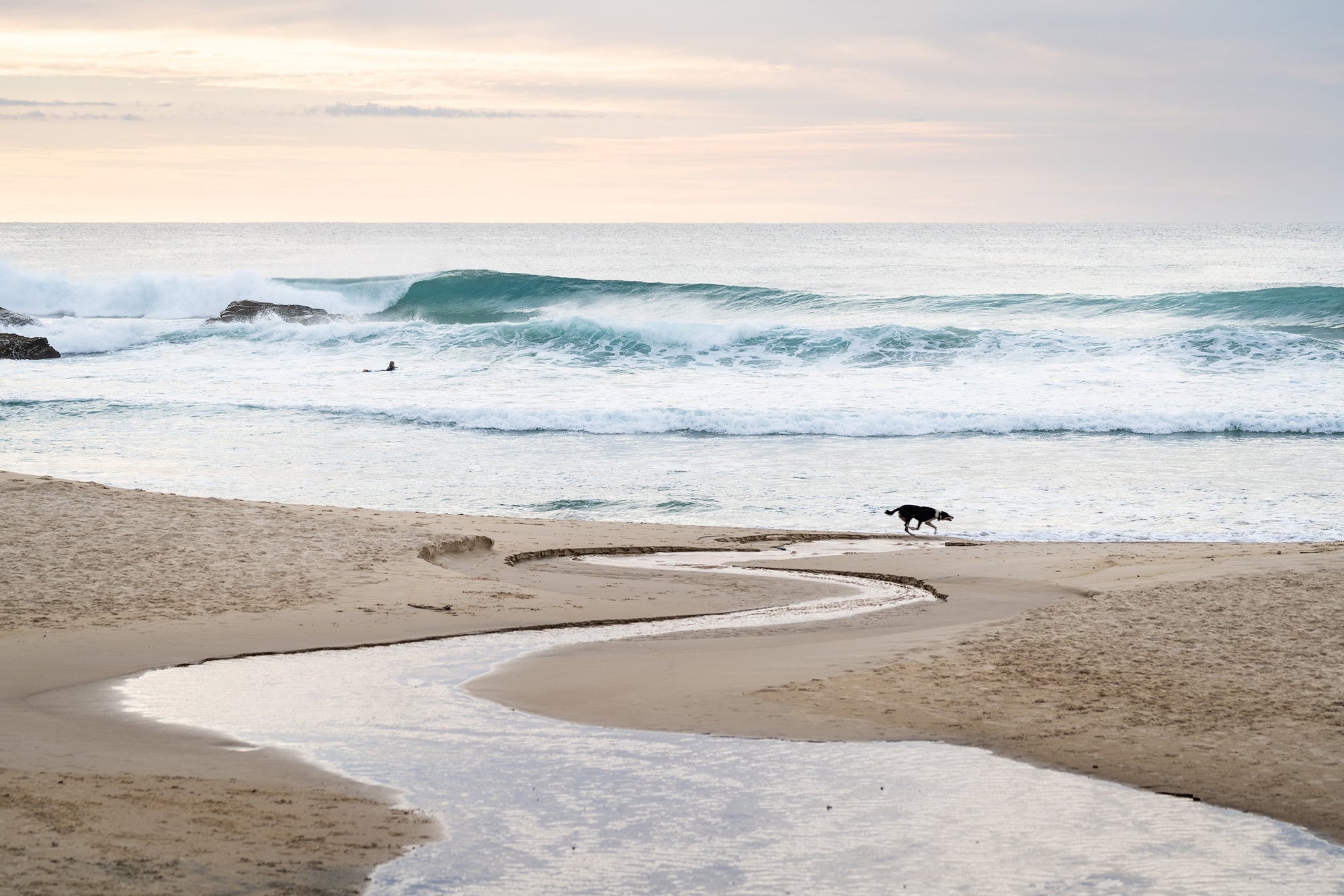 The Salty Pixel - Dog Beach Left - metafield_custom.location - metafield_custom.subject