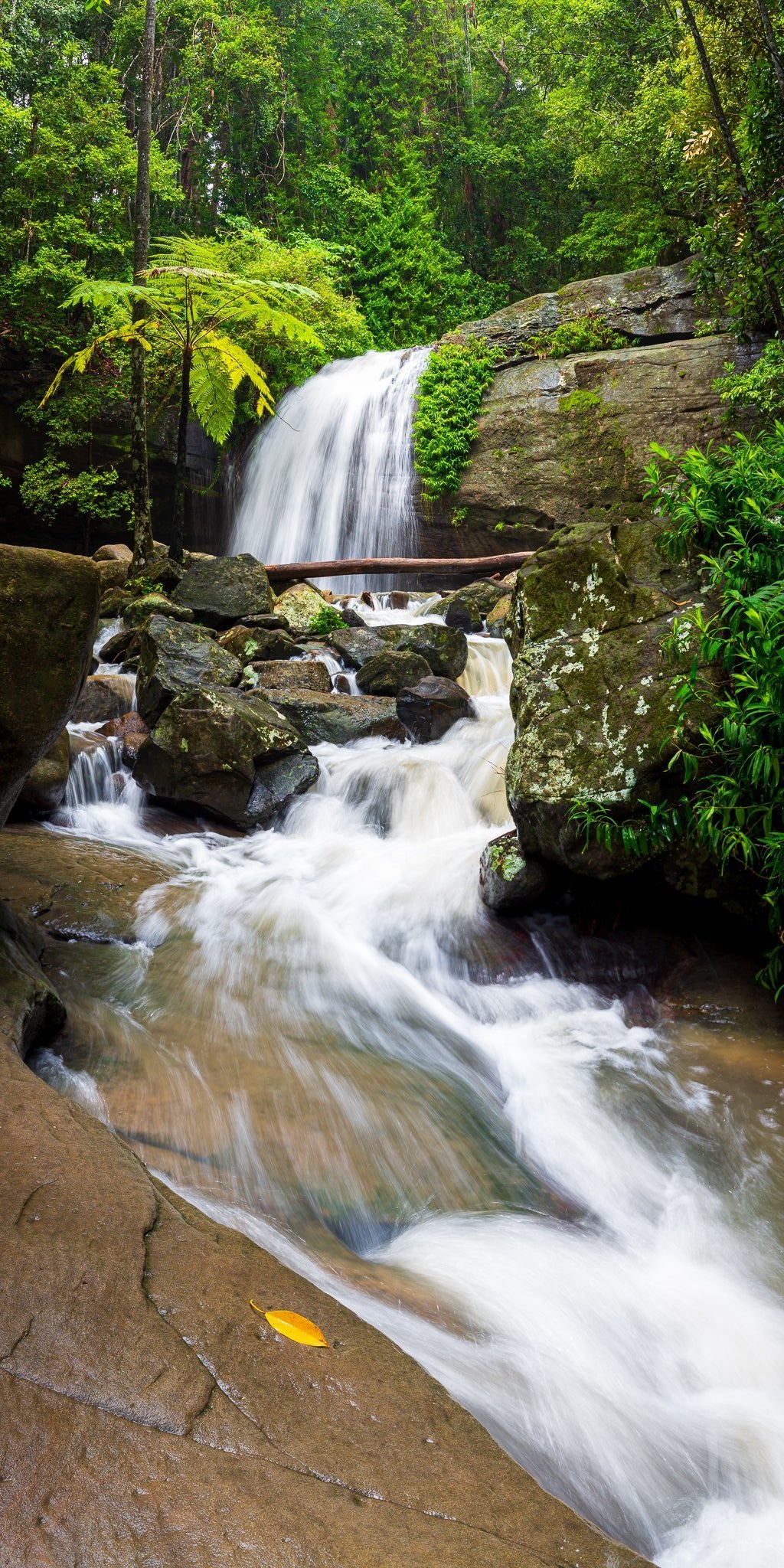 The Salty Pixel - Flowing Falls - metafield_custom.location - metafield_custom.subject