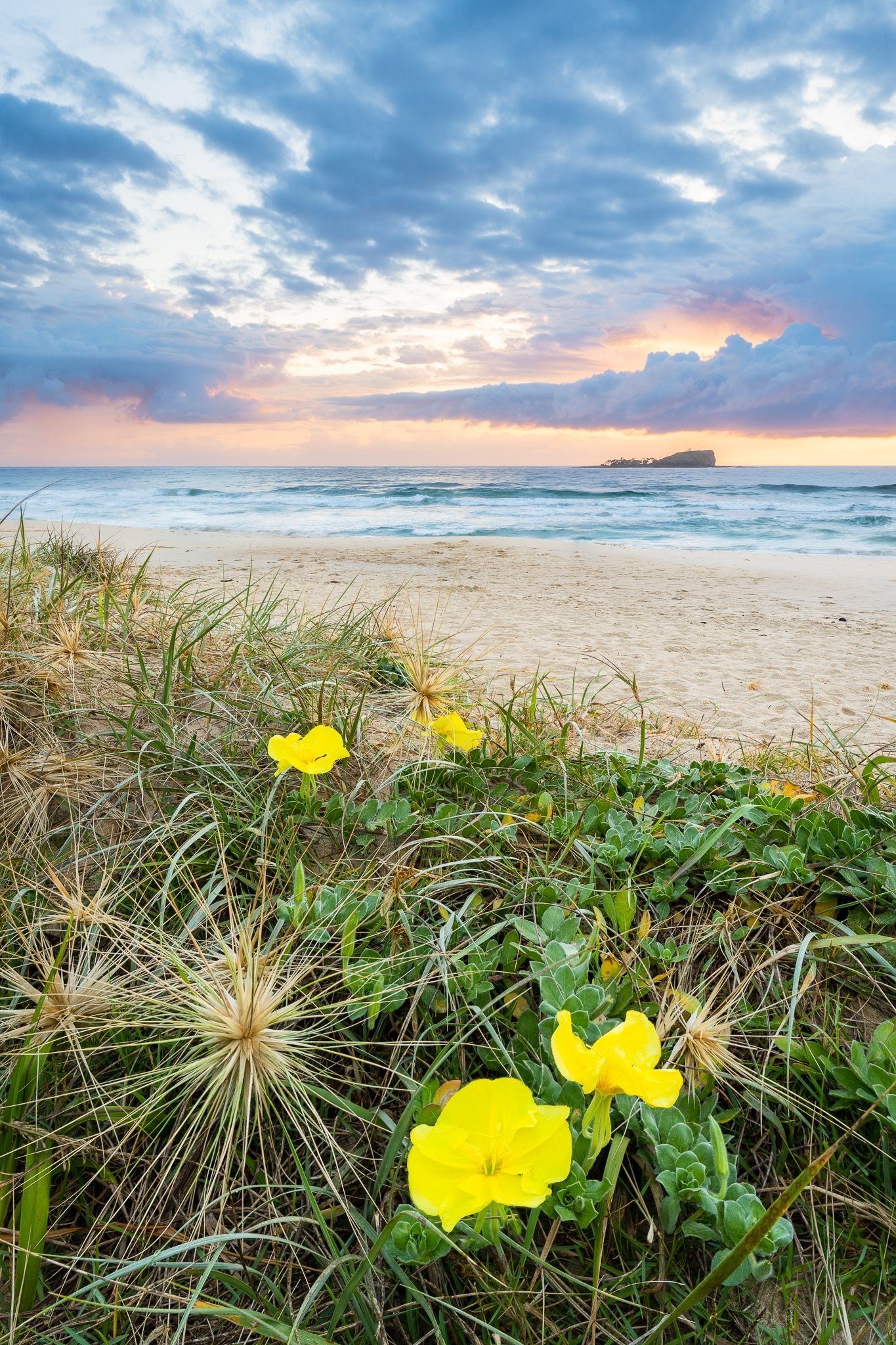 The Salty Pixel - Island Flowers - metafield_custom.location - metafield_custom.subject
