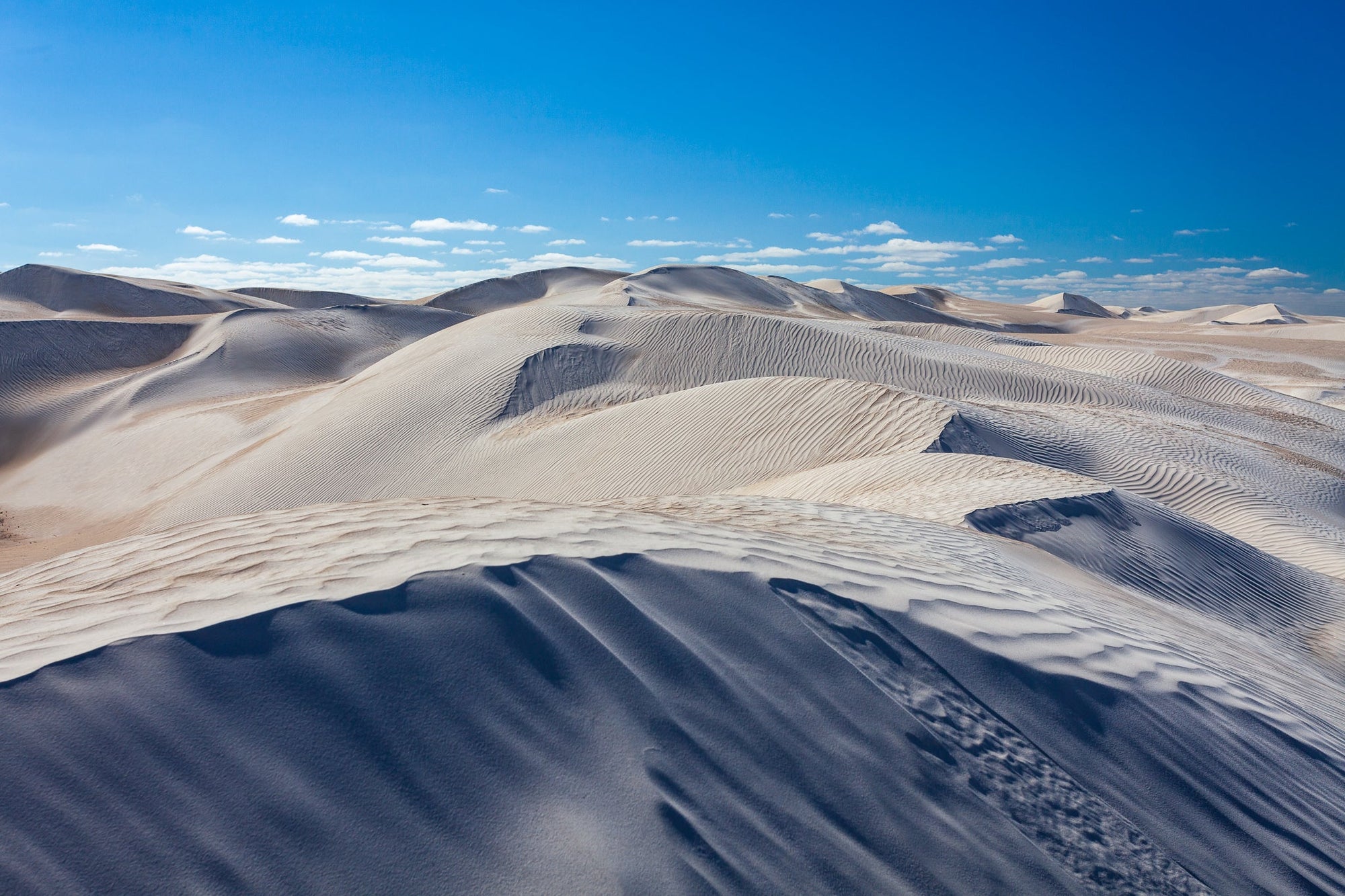 The Salty Pixel - Lancelin Dunes - metafield_custom.location - metafield_custom.subject