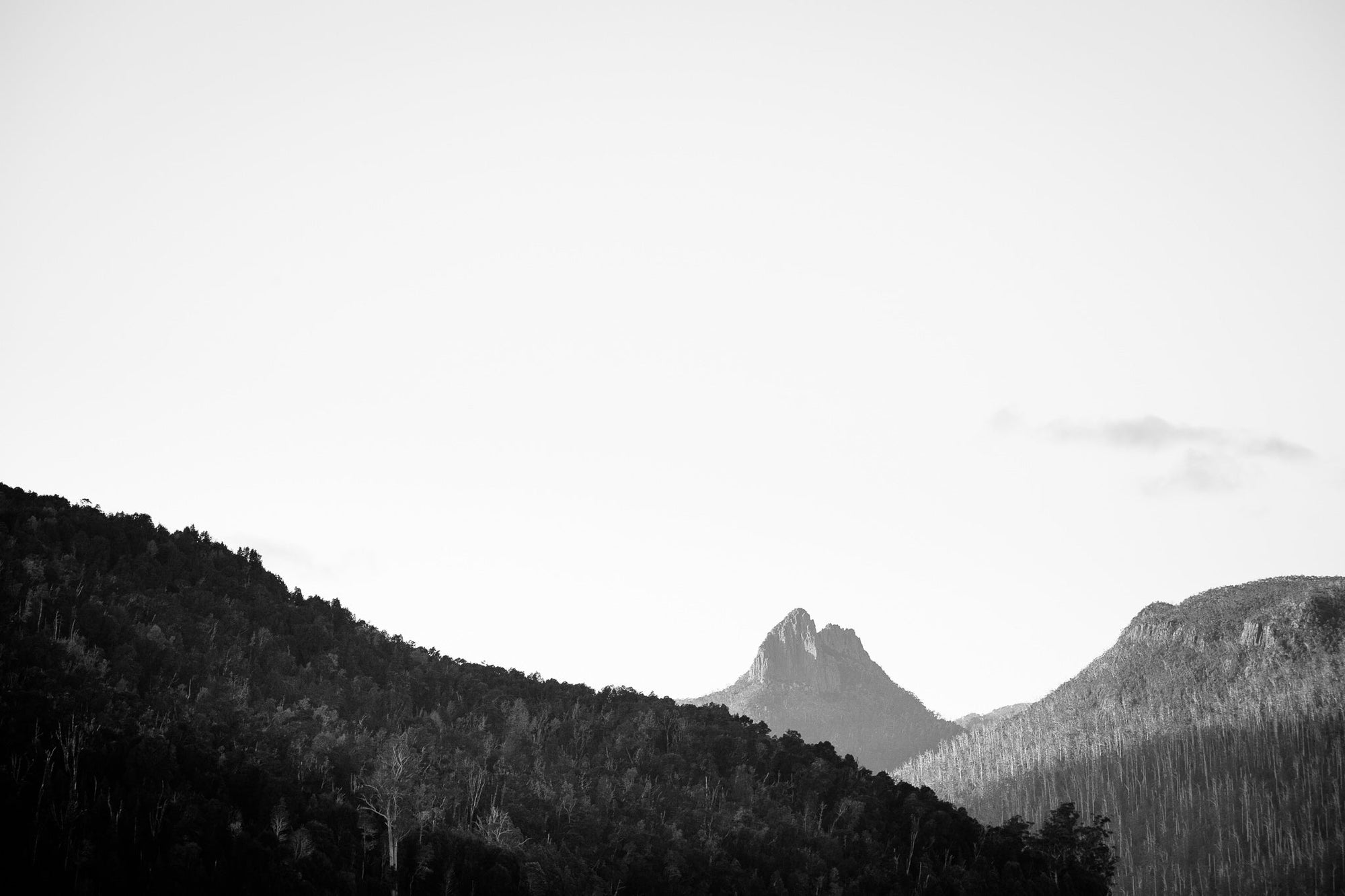 The Salty Pixel - Mono Ida - metafield_custom.location - metafield_custom.subject