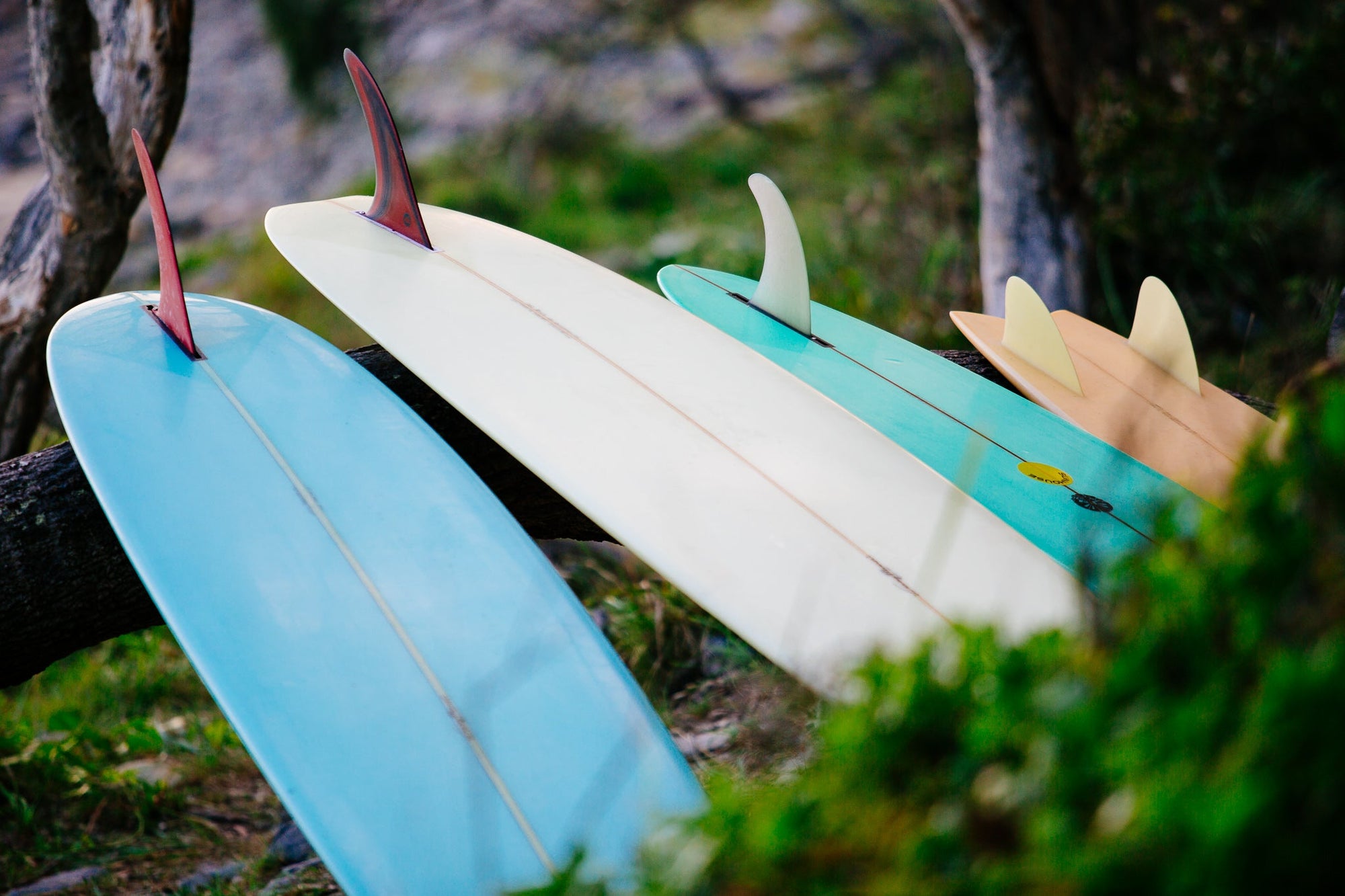 The Salty Pixel - Quiver - metafield_custom.location - metafield_custom.subject