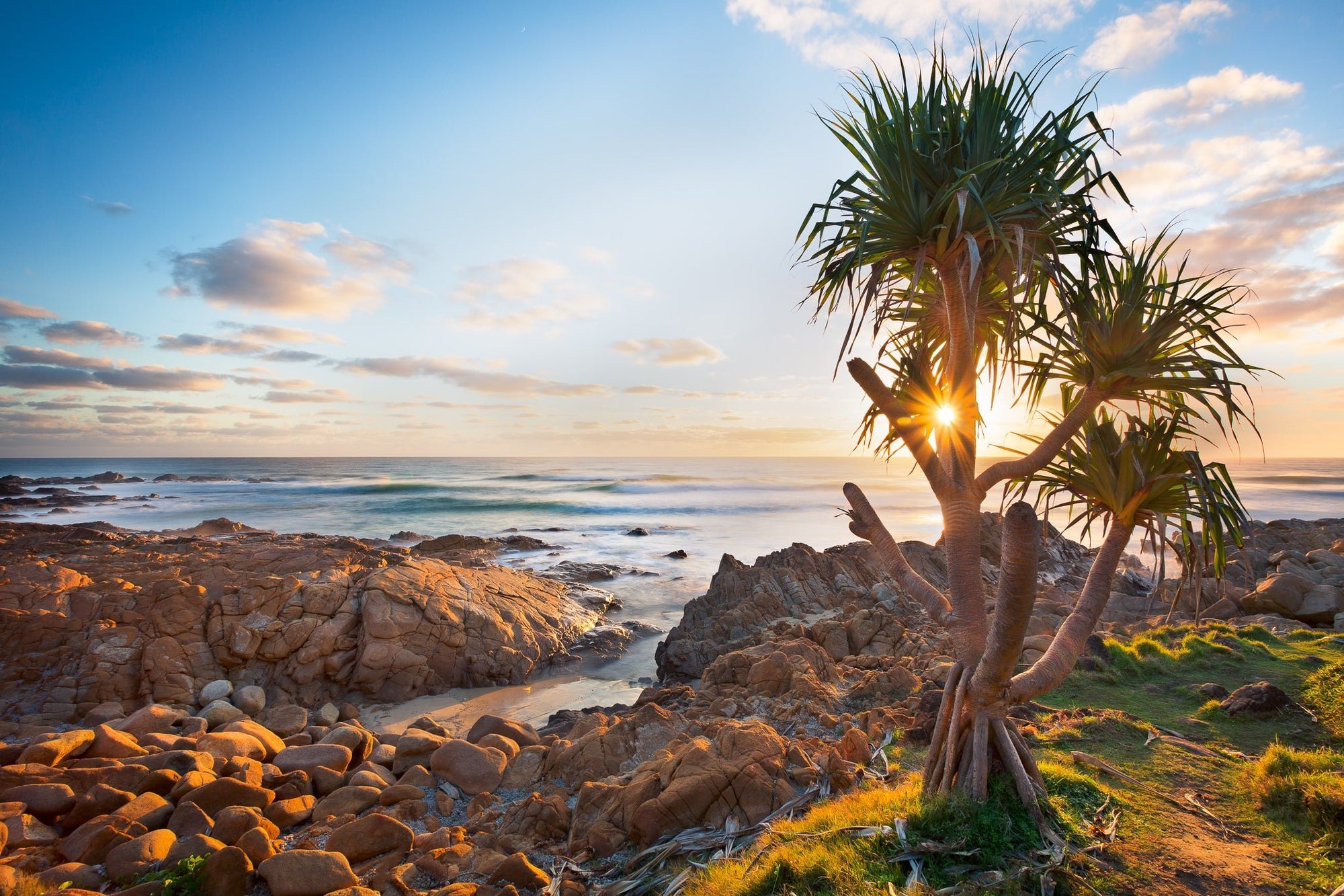 The Salty Pixel - Sunrise Pandanus - metafield_custom.location - metafield_custom.subject